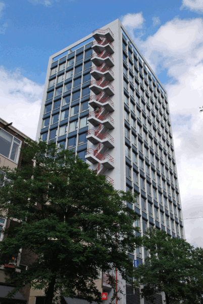 250.gif (159928 bytes)