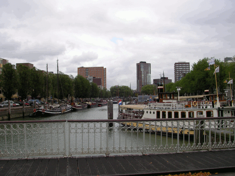 602.gif (270950 bytes)