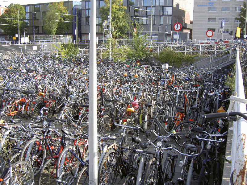 750.gif (463983 bytes)