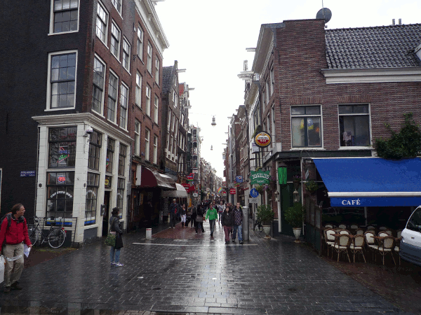 810.gif (179865 bytes)