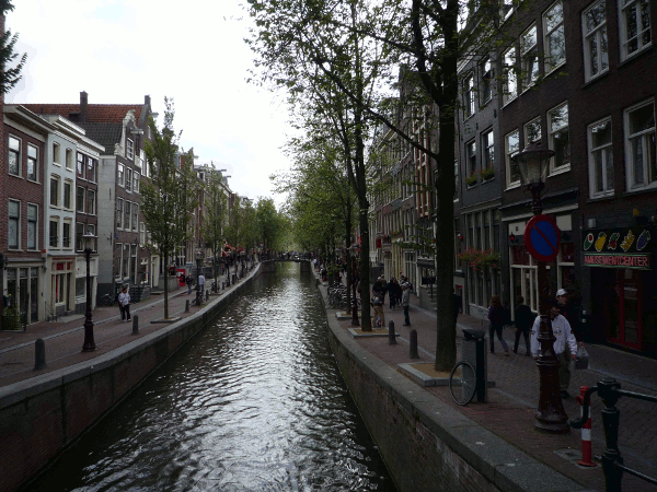 870.gif (205994 bytes)