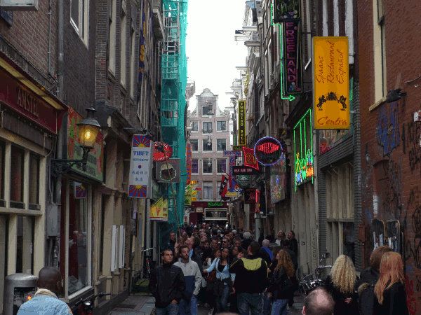 910.gif (189386 bytes)