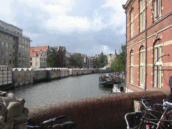 950.gif (177262 bytes)