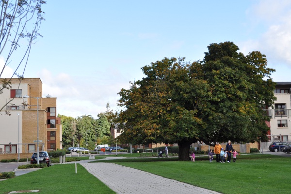 40.jpg (171014 bytes)