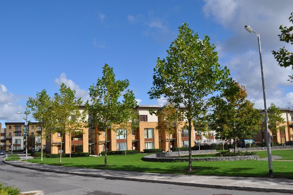 60.jpg (154904 bytes)