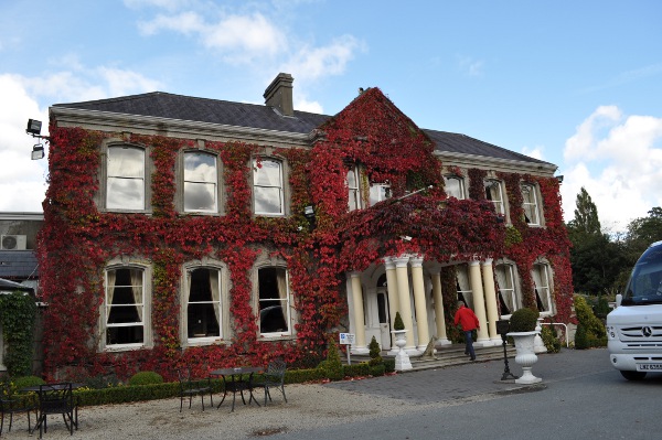 80.jpg (143827 bytes)