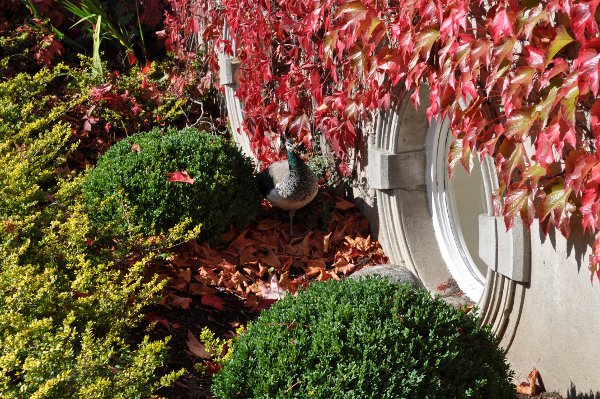 90.jpg (136306 bytes)