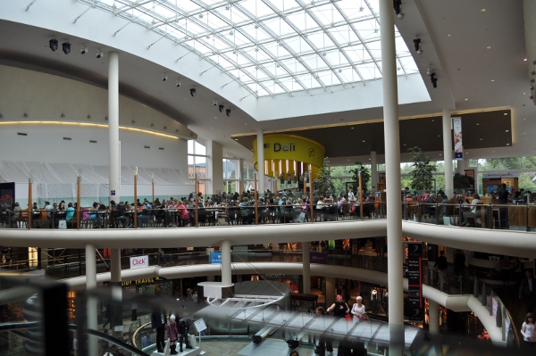 480.jpg (193351 bytes)