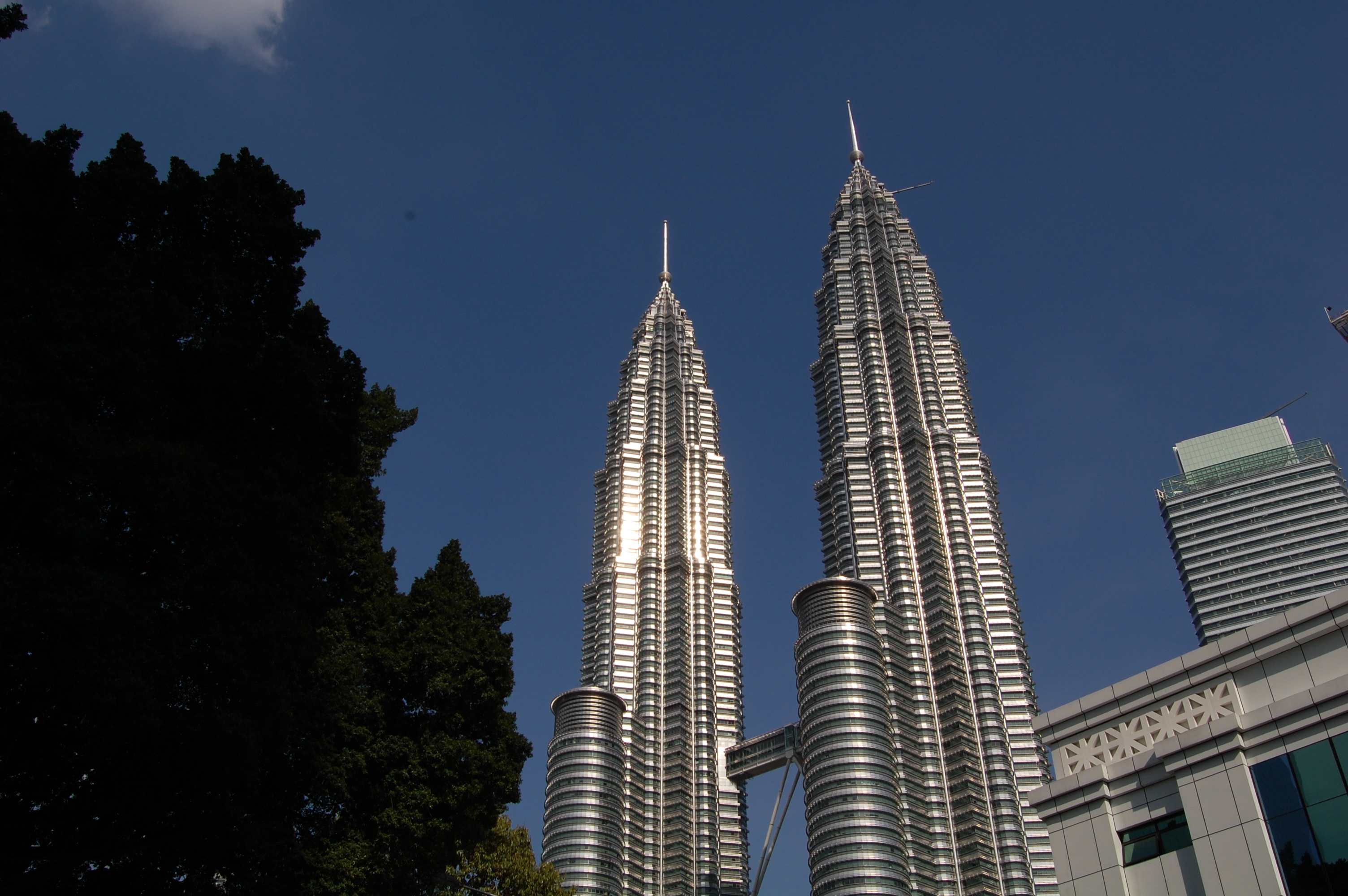 210.jpg (220273 bytes)