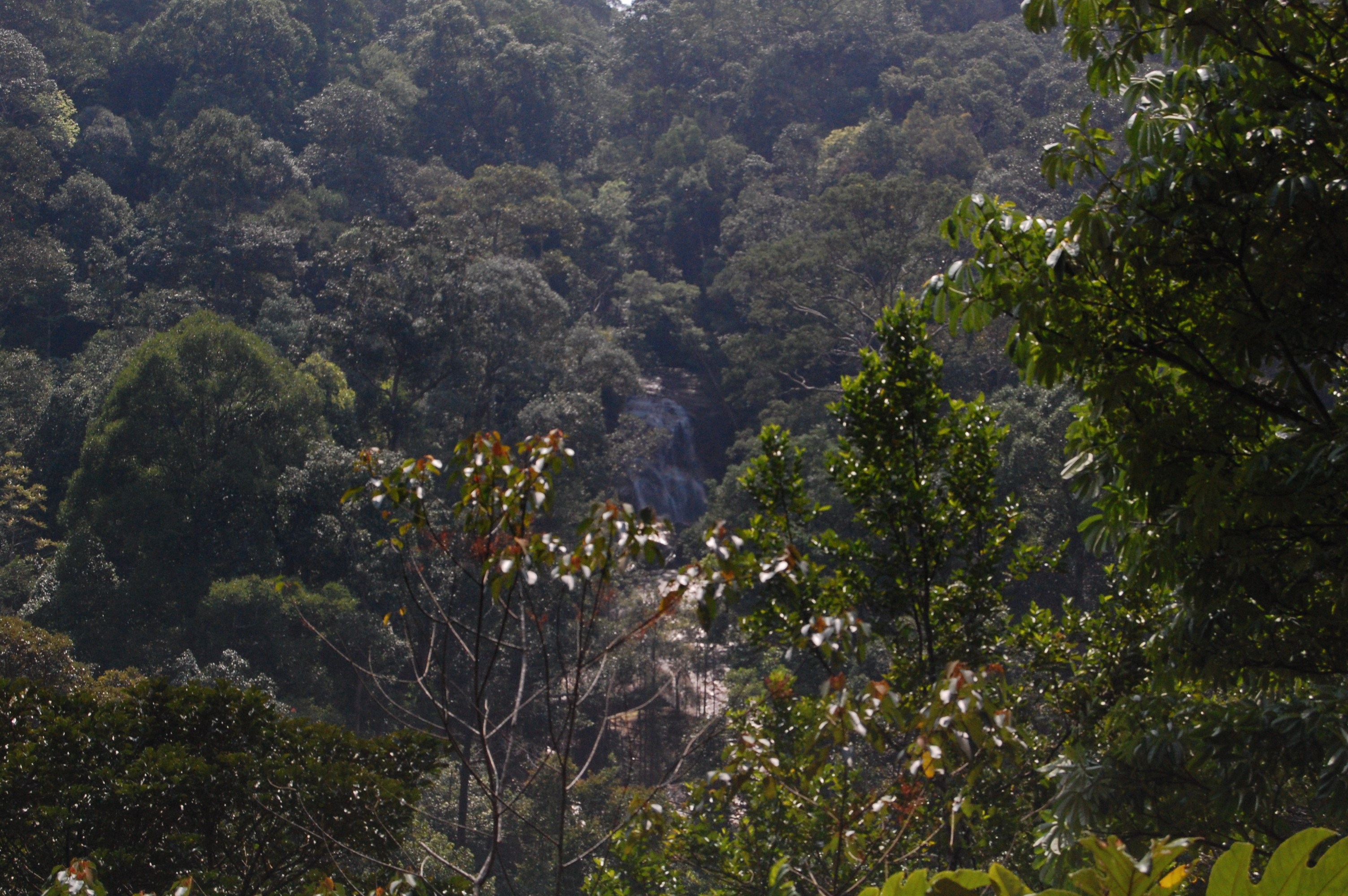 650.jpg (133517 bytes)