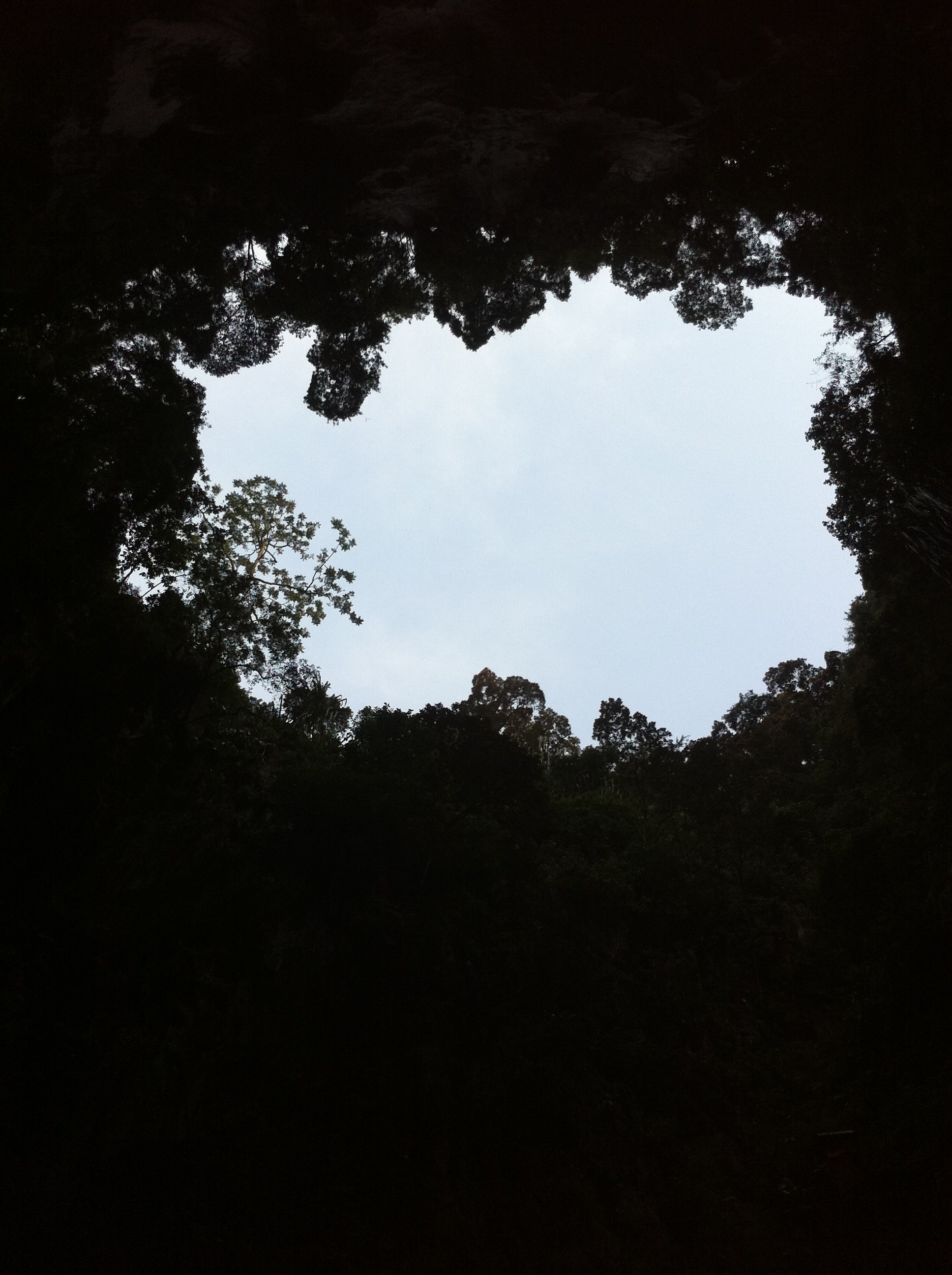 660.jpg (124127 bytes)