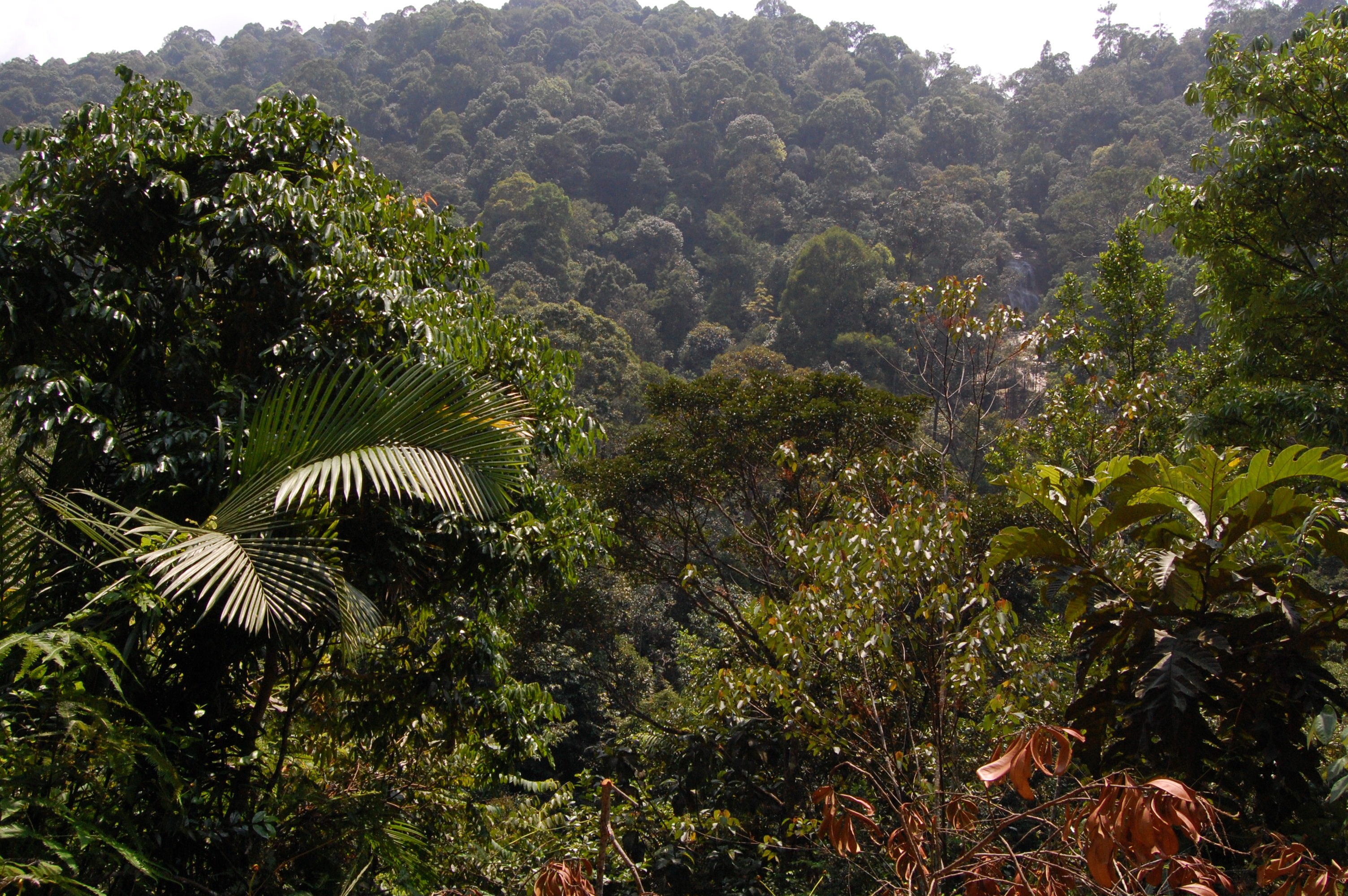 670.jpg (117007 bytes)