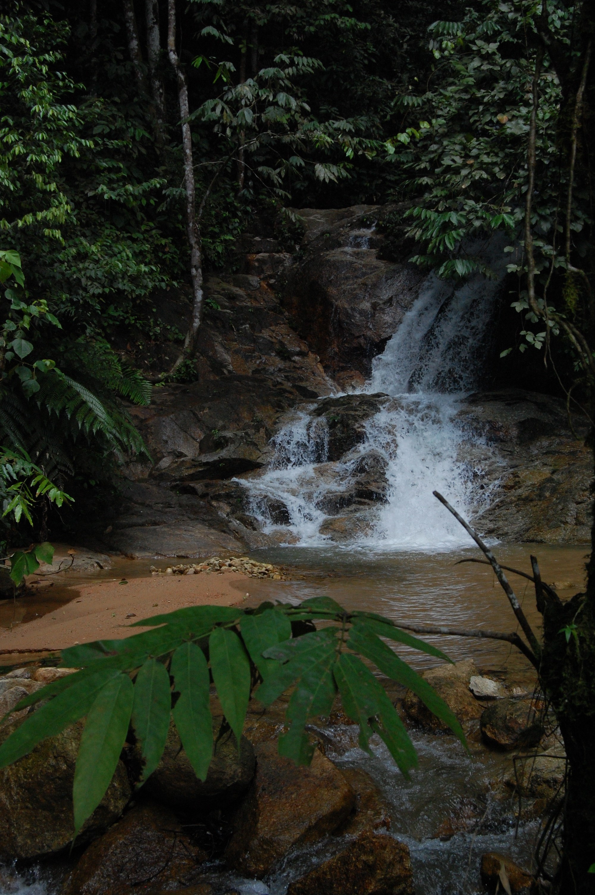 680.jpg (190688 bytes)