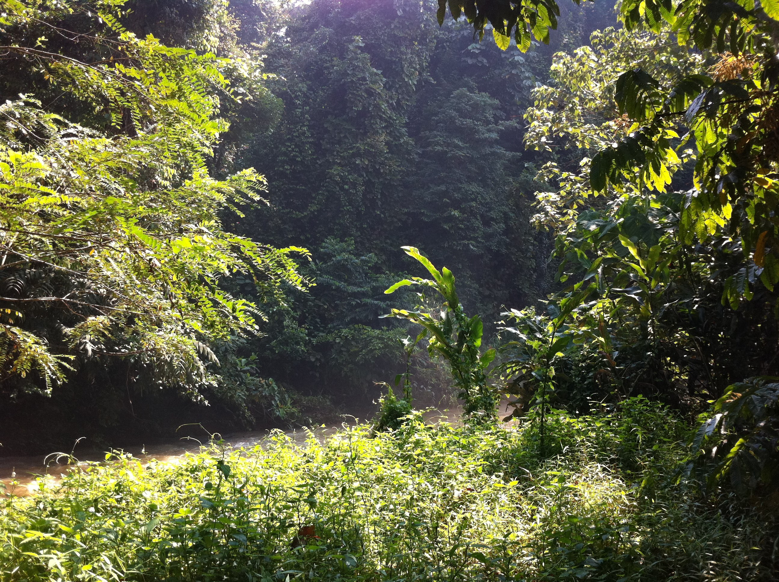 710.jpg (151473 bytes)