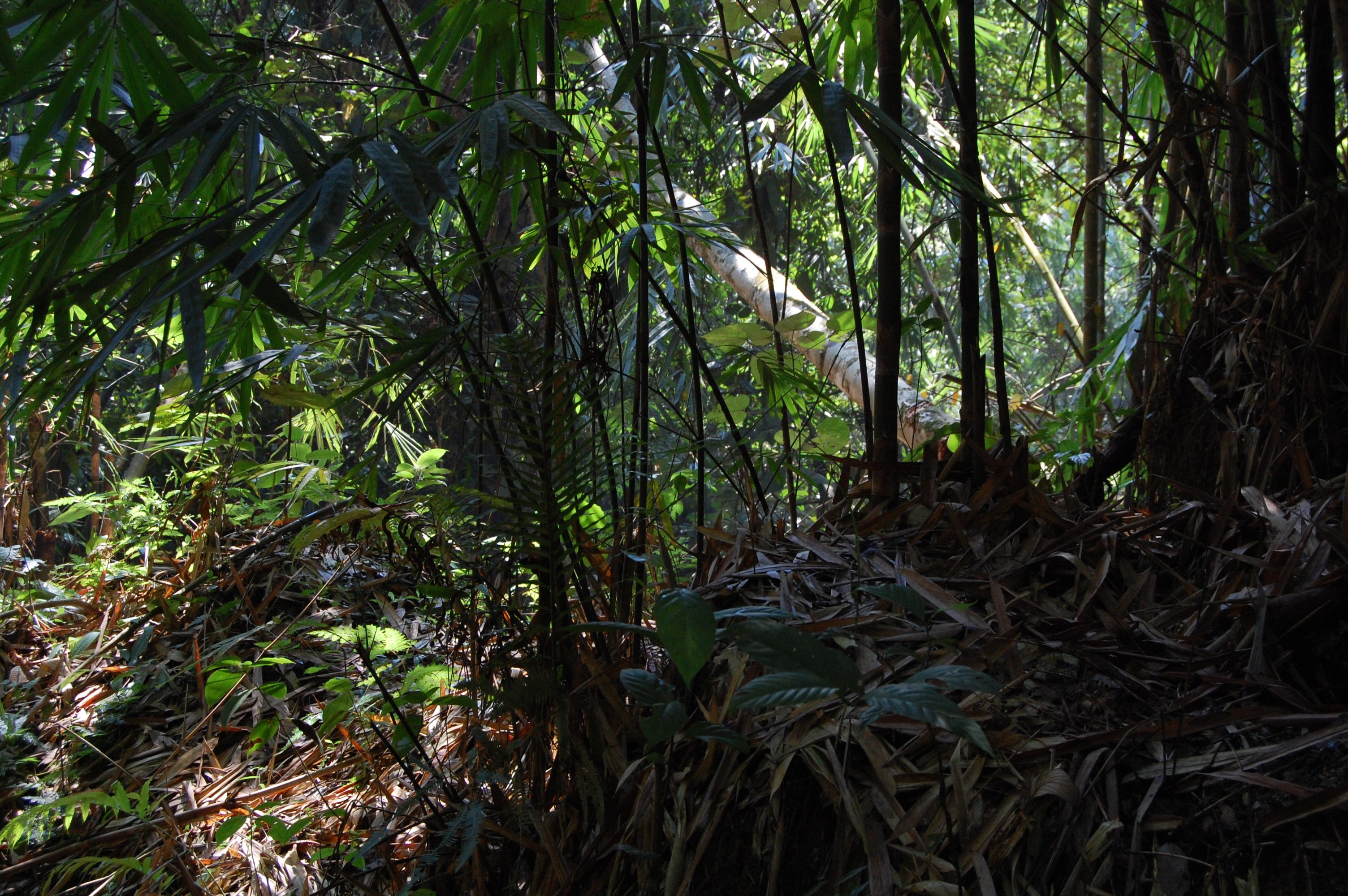 720.jpg (114598 bytes)