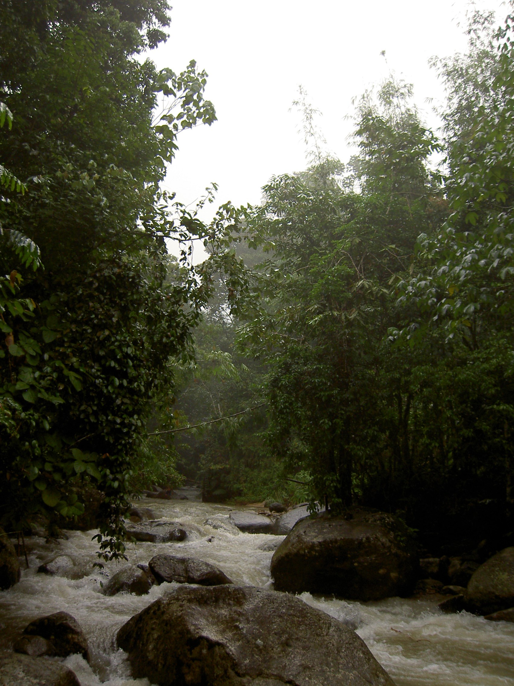 730.jpg (125573 bytes)