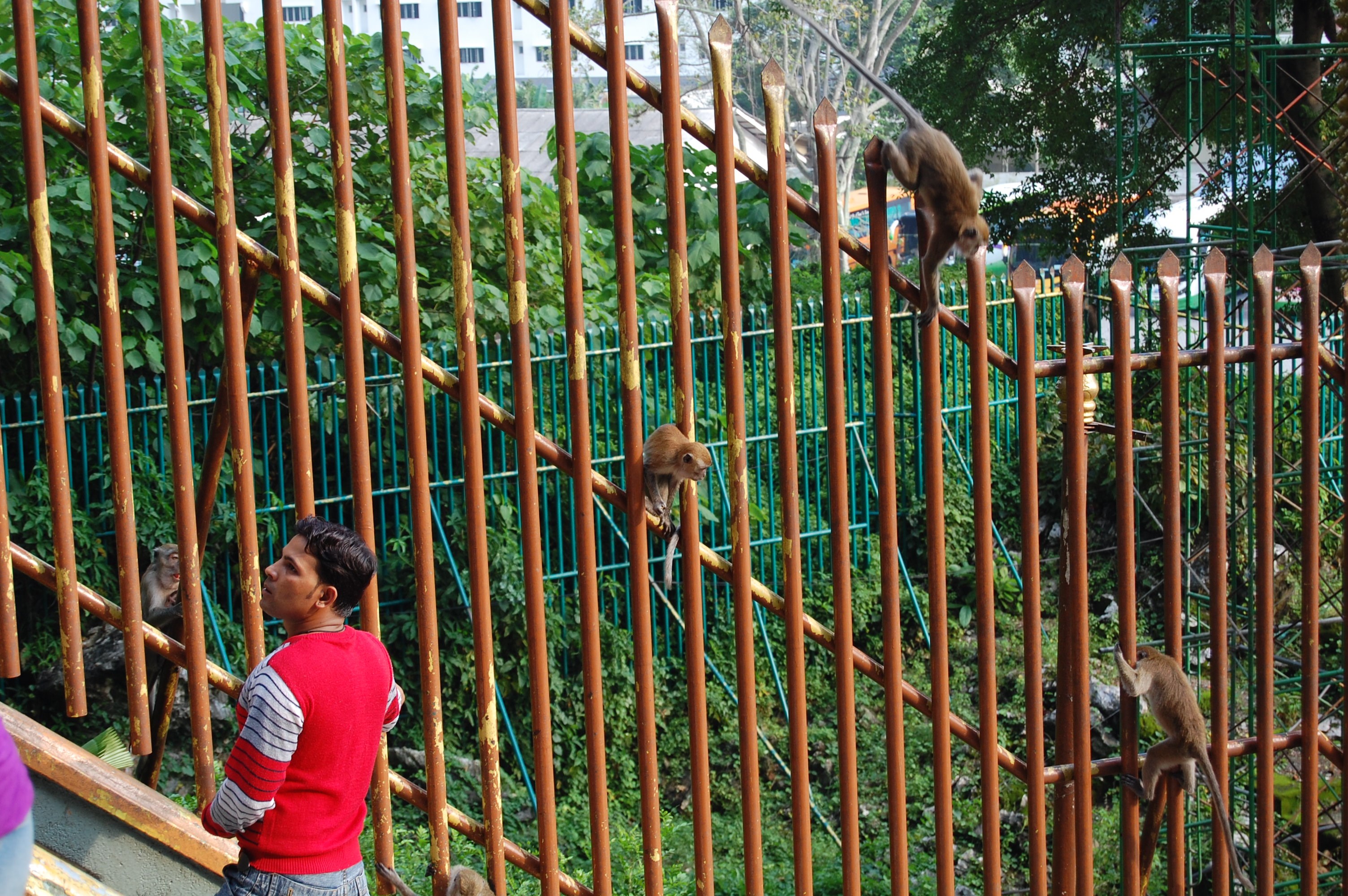 760.jpg (179639 bytes)