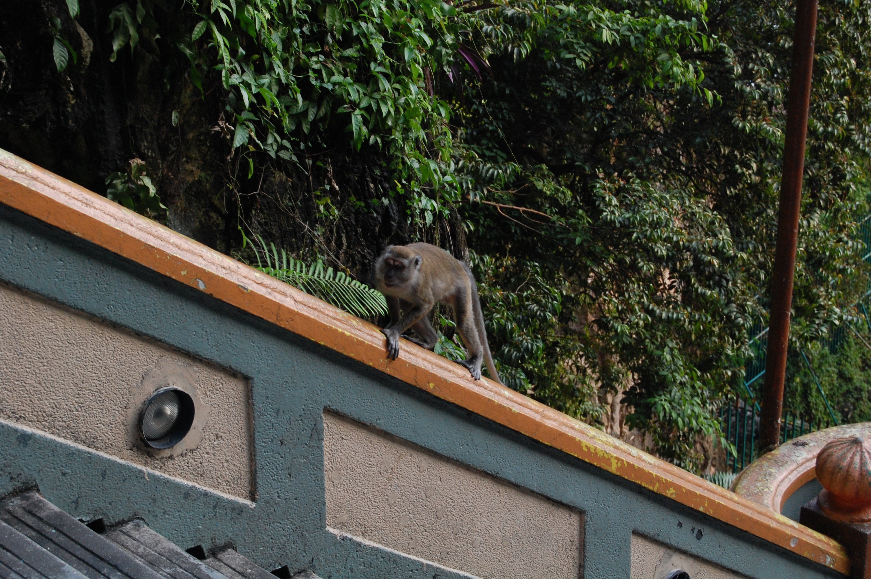 770.jpg (147915 bytes)