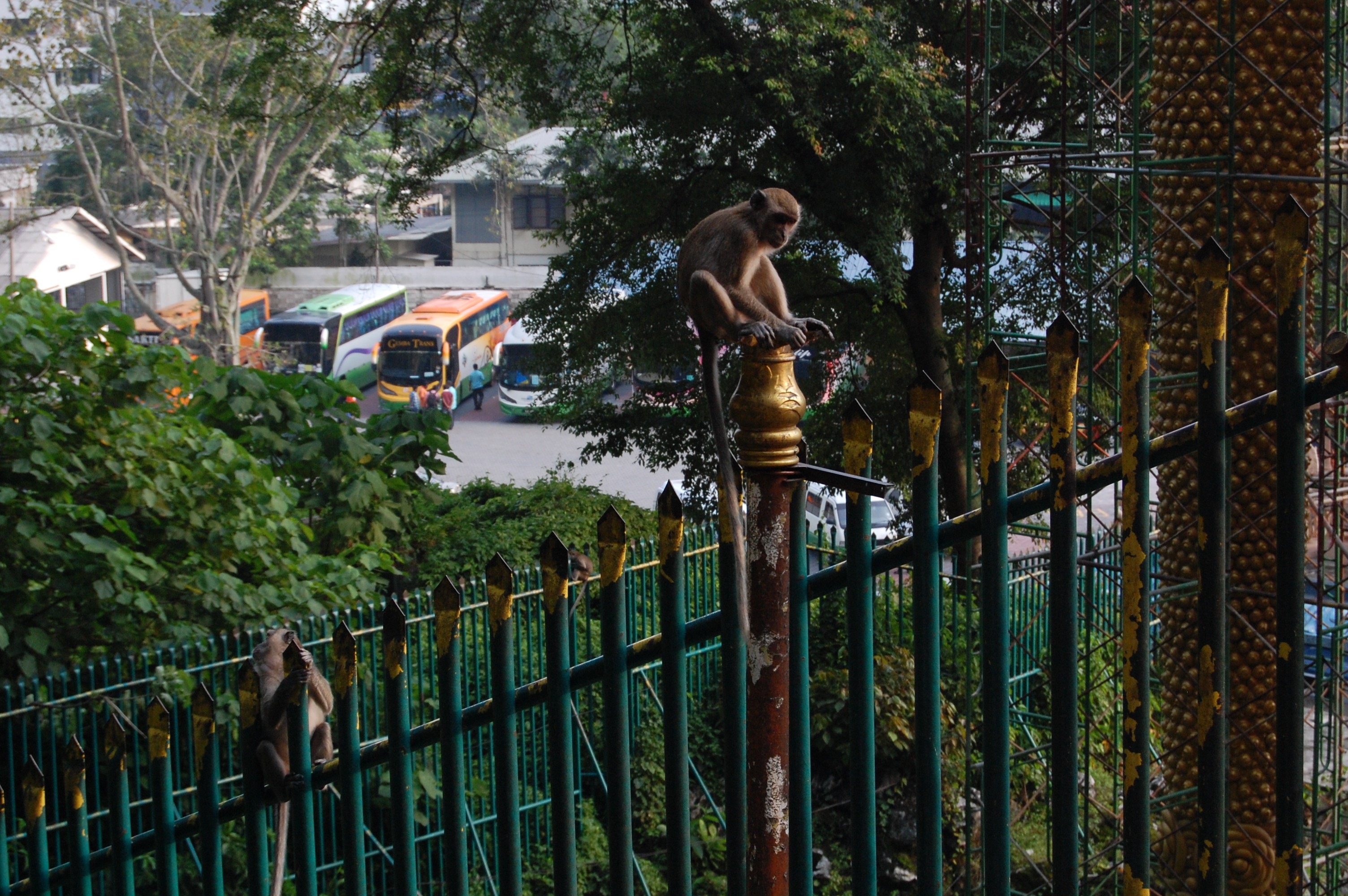 780.jpg (179639 bytes)