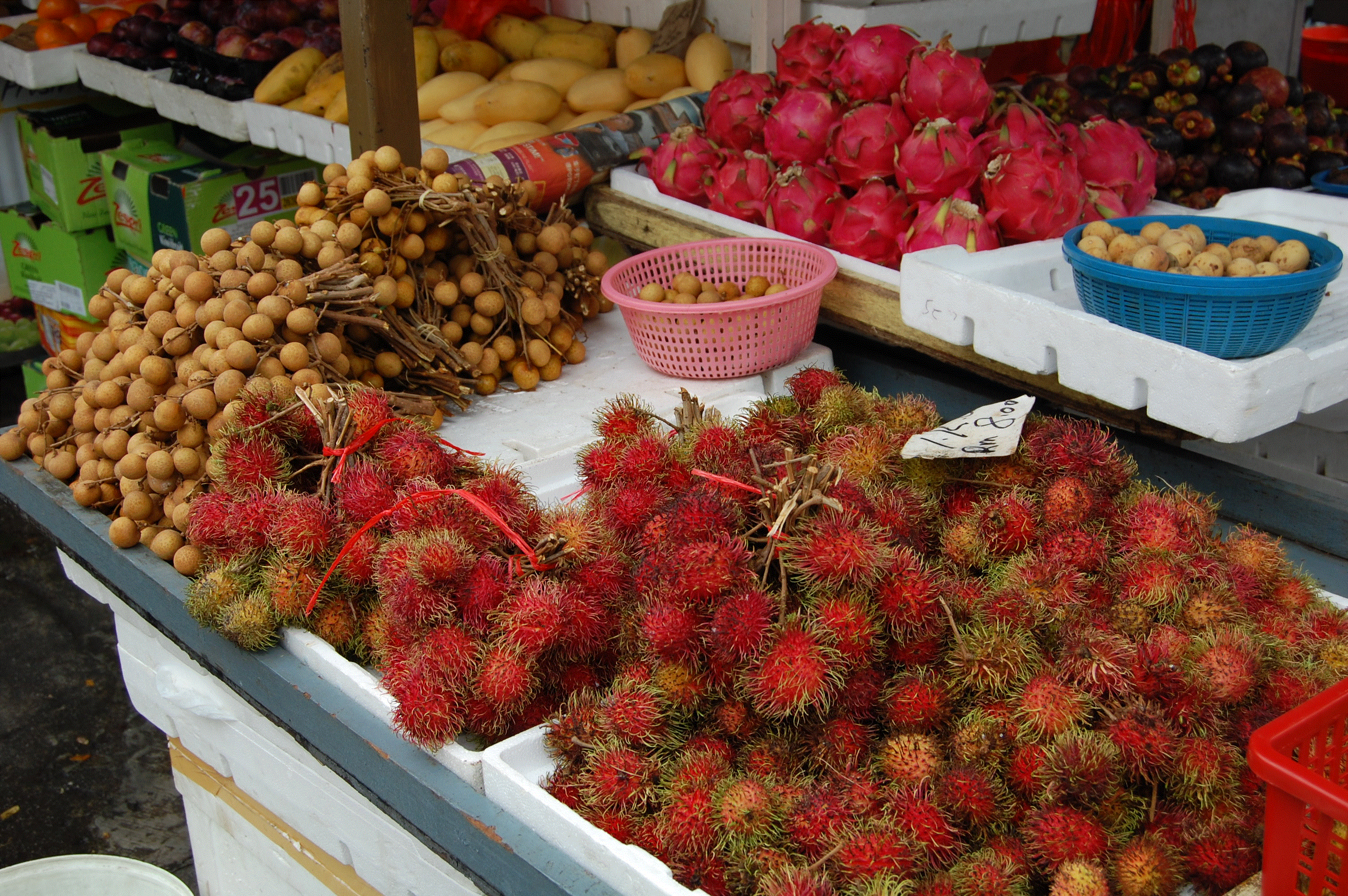 1204.gif (147915 bytes)