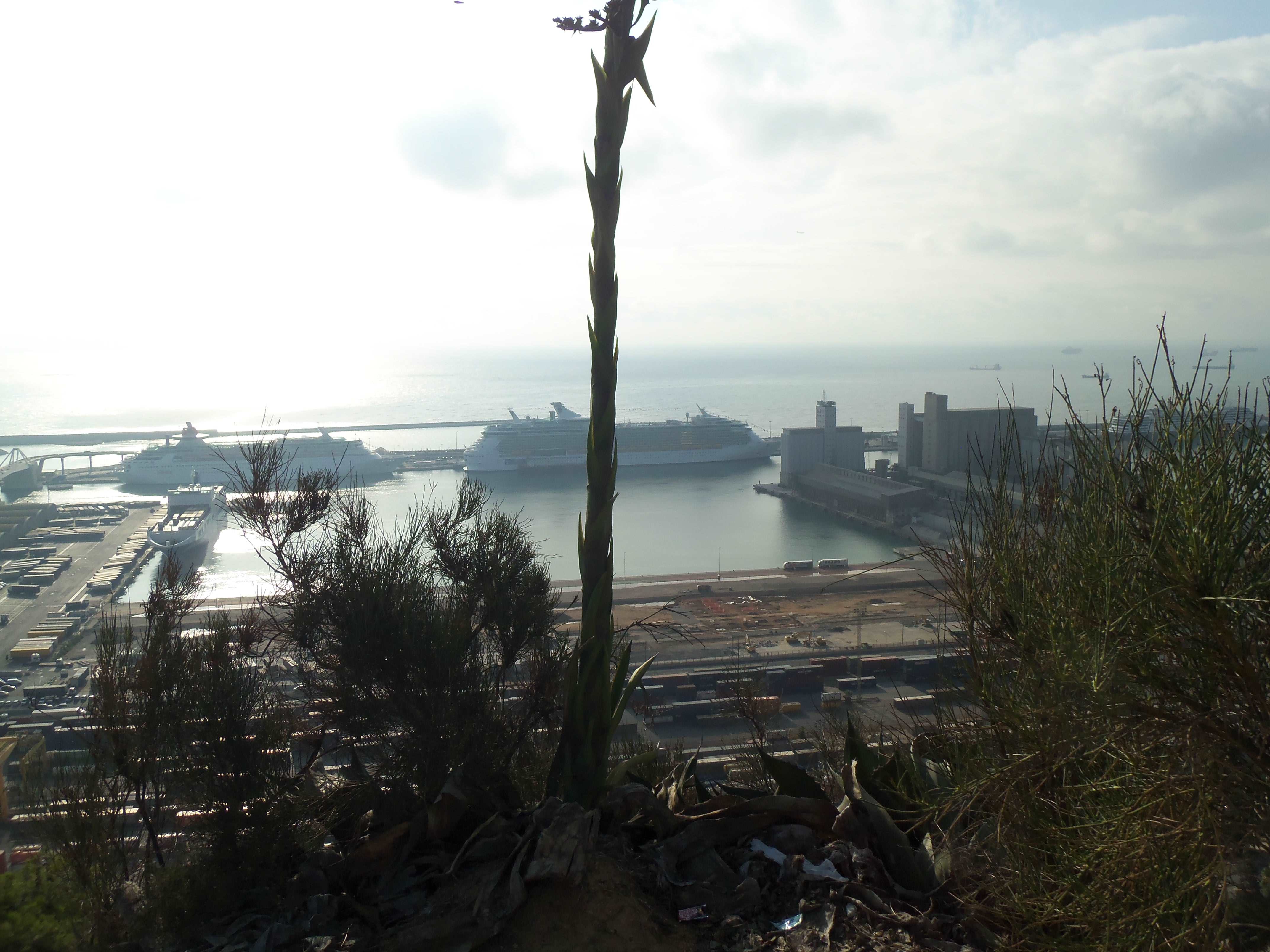 110.jpg (133810 bytes)