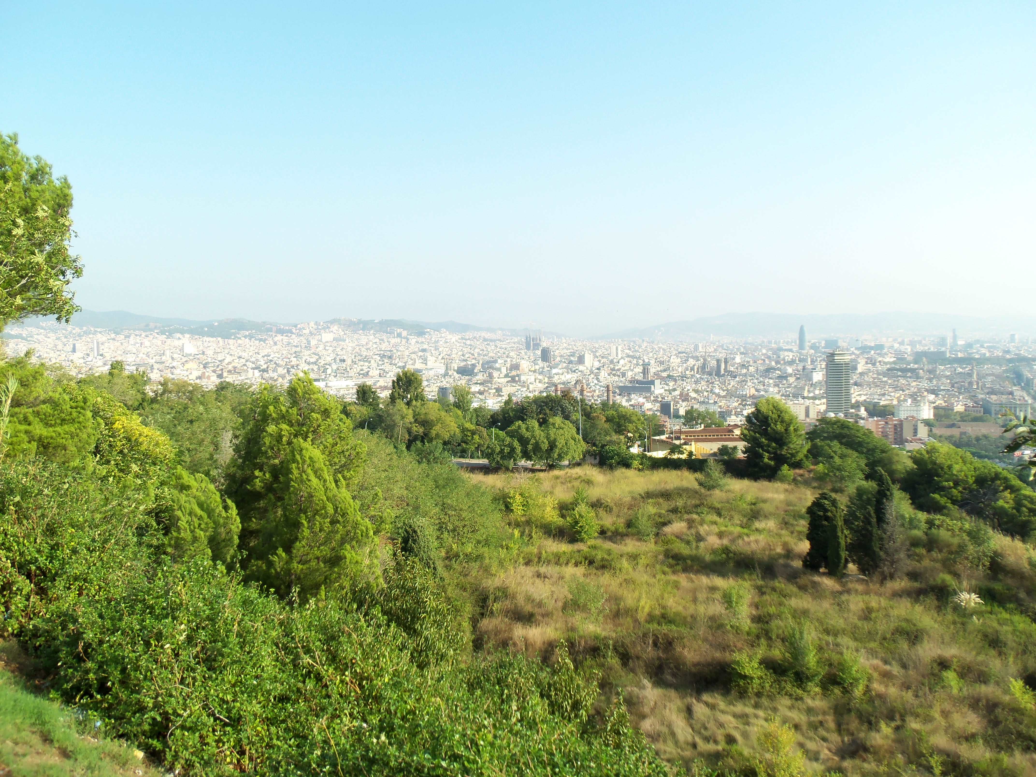 150.jpg (165735 bytes)