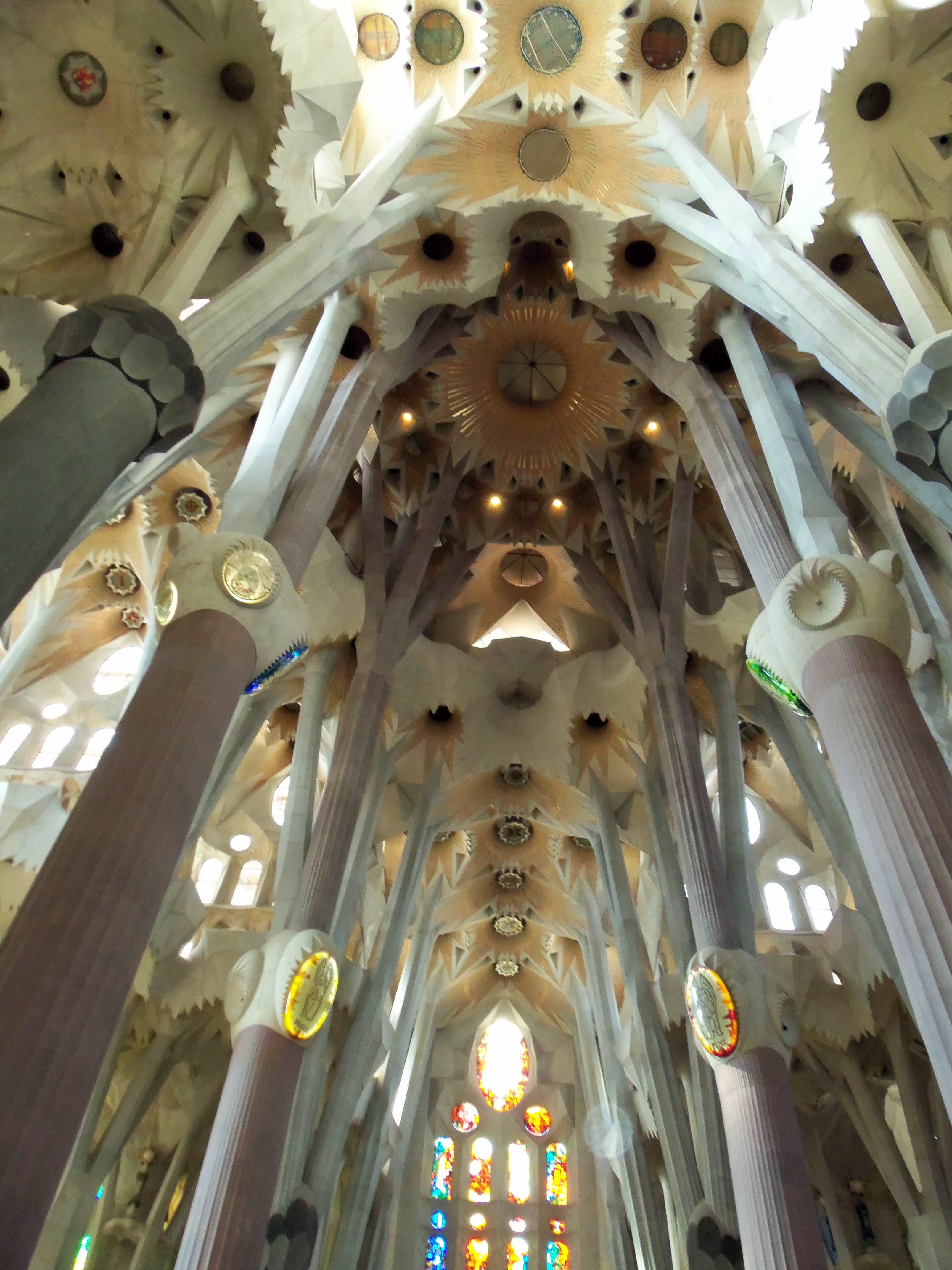 220.jpg (250910 bytes)