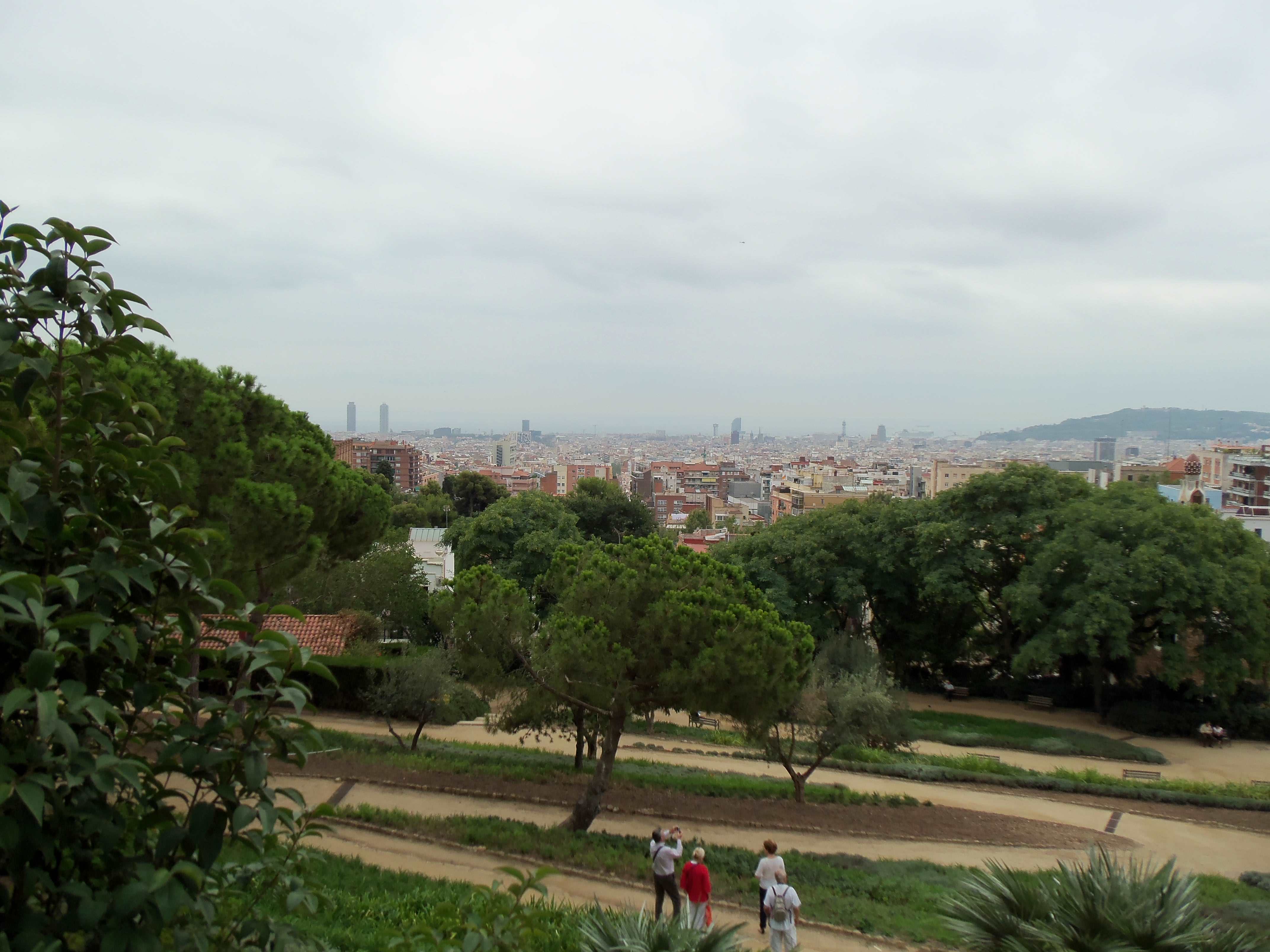 310.jpg (250910 bytes)