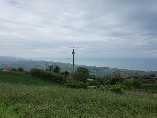 110.jpg (146416 bytes)