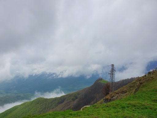 150.jpg (155732 bytes)