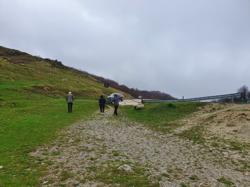 160.jpg (144036 bytes)