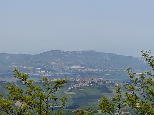 170.jpg (155732 bytes)