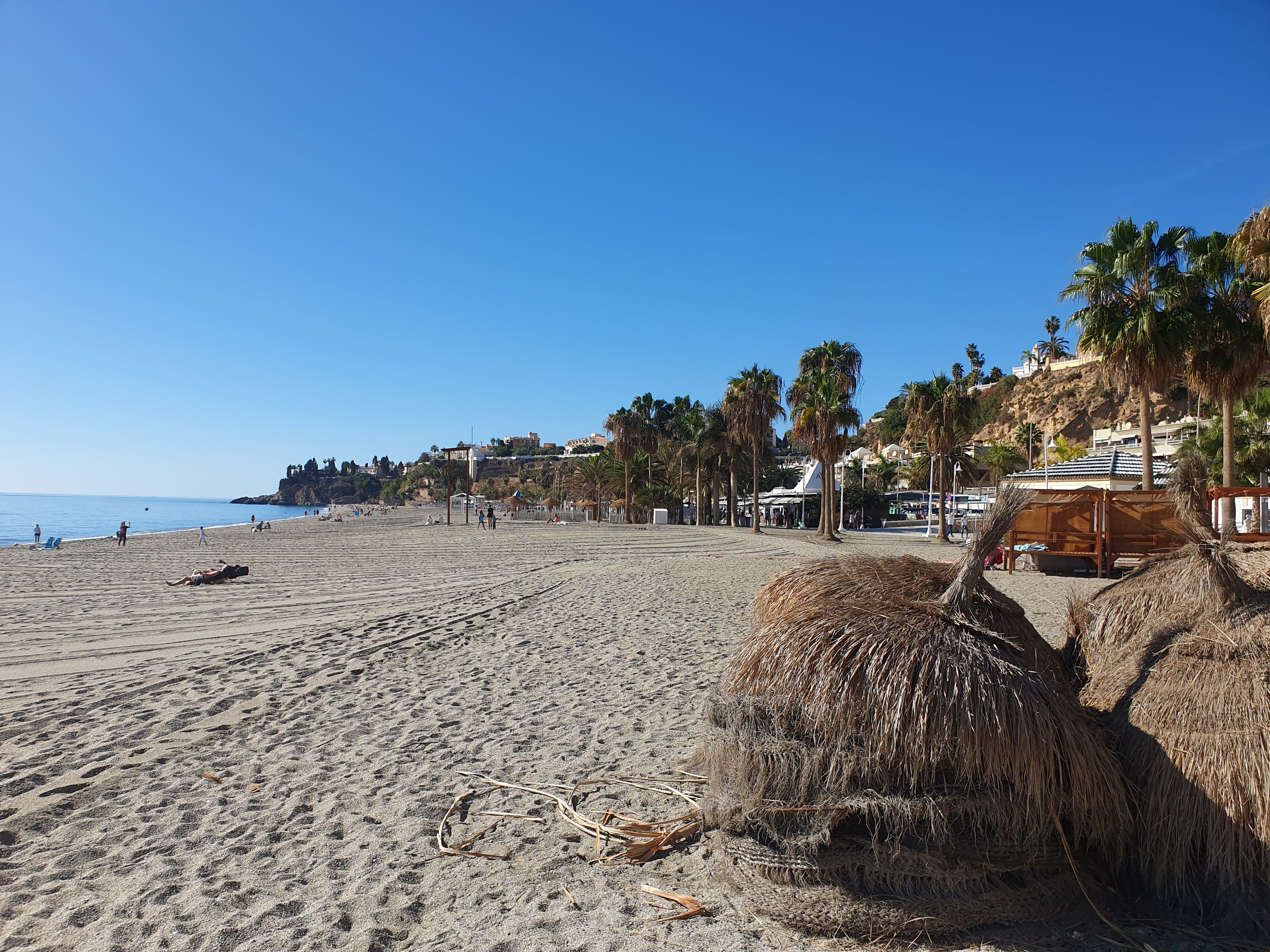 560.jpg (163247 bytes)