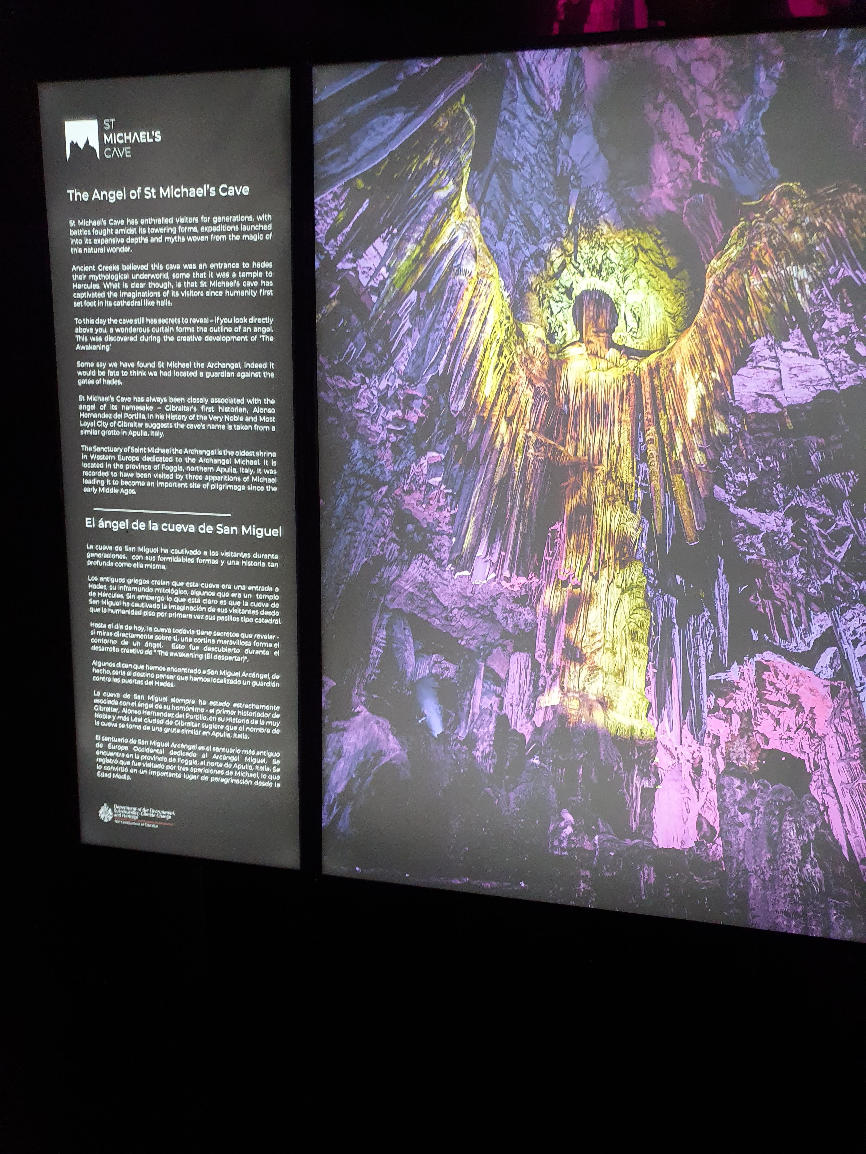 700.jpg (327117 bytes)