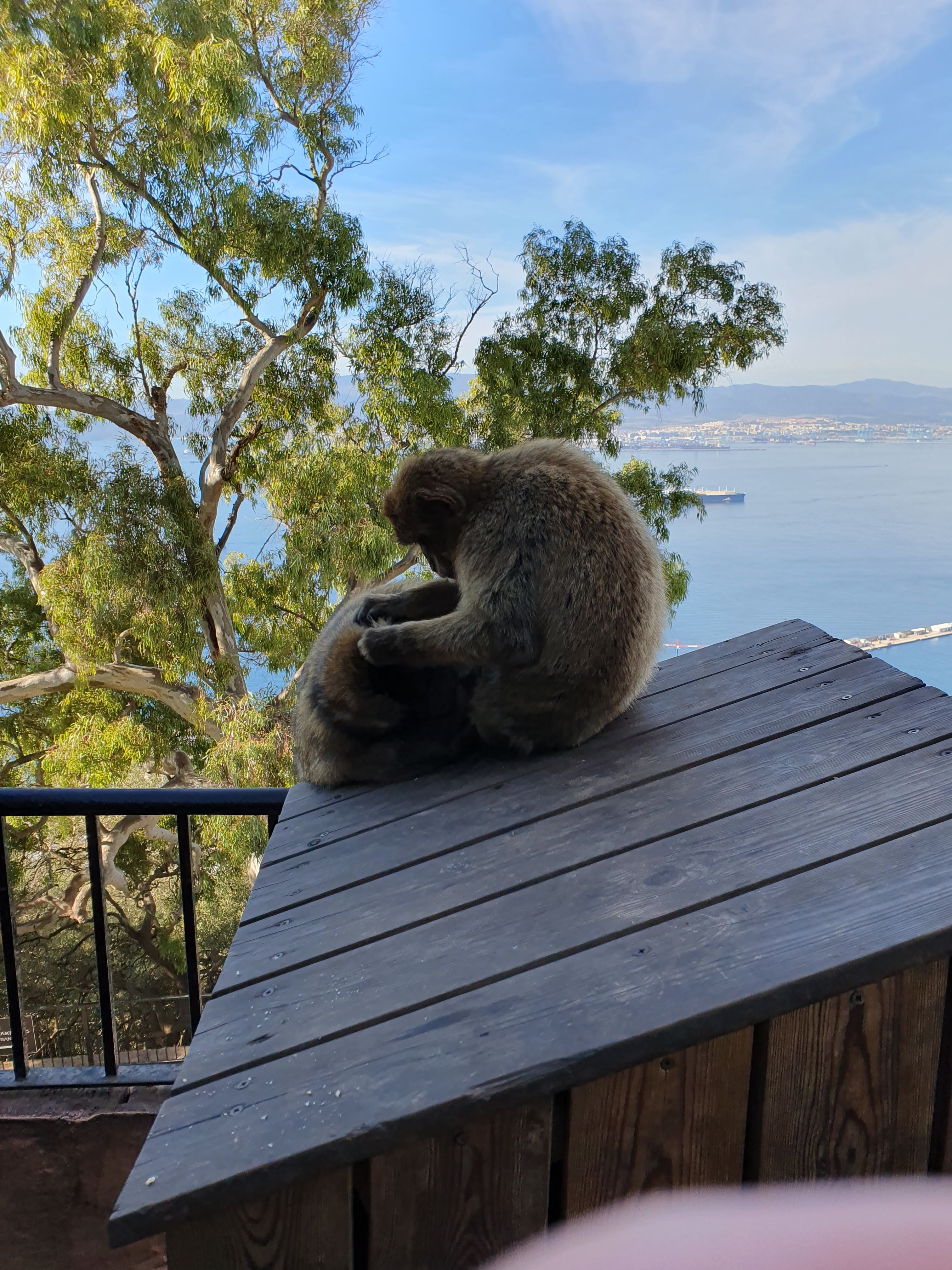 770.jpg (327117 bytes)