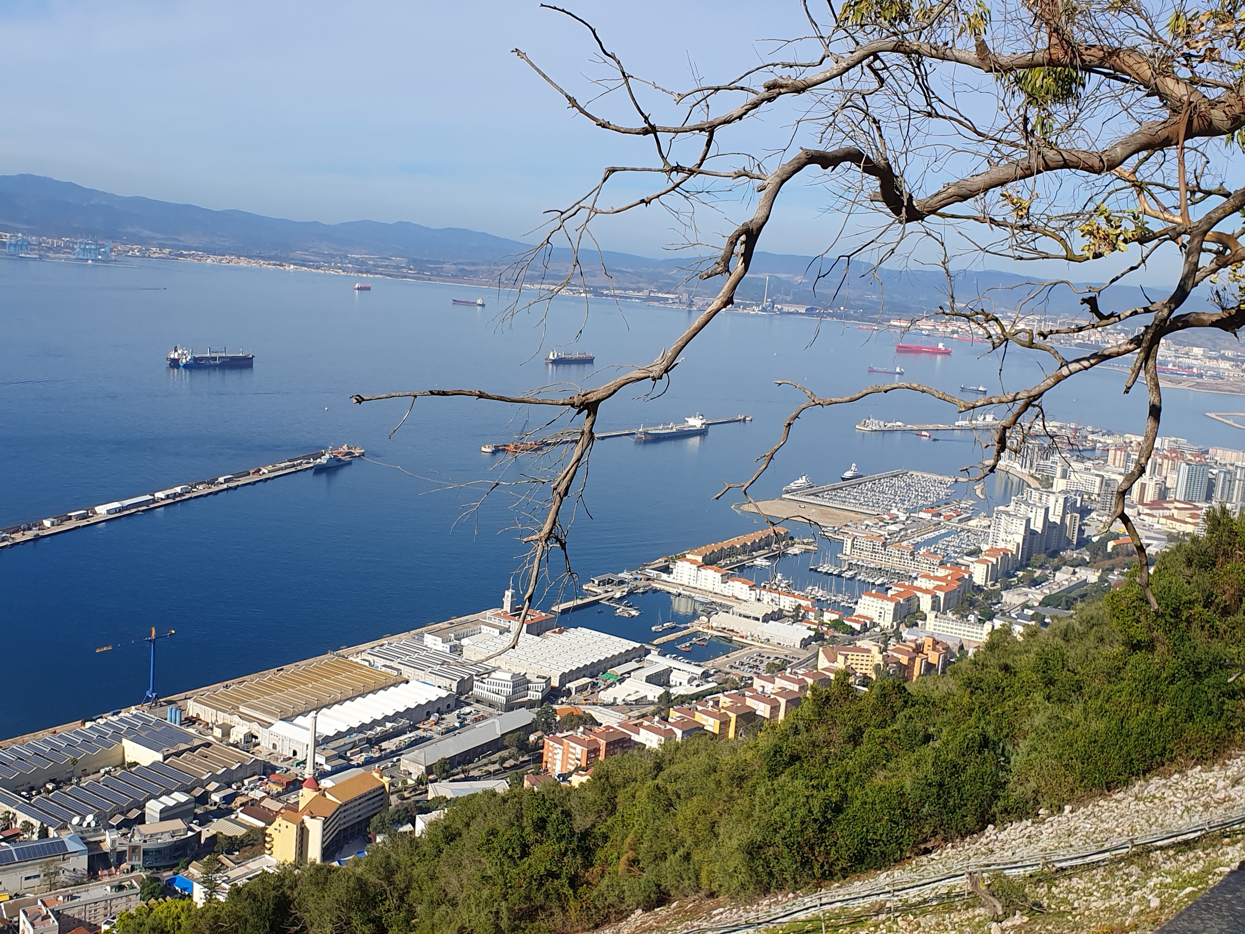 780.jpg (327117 bytes)