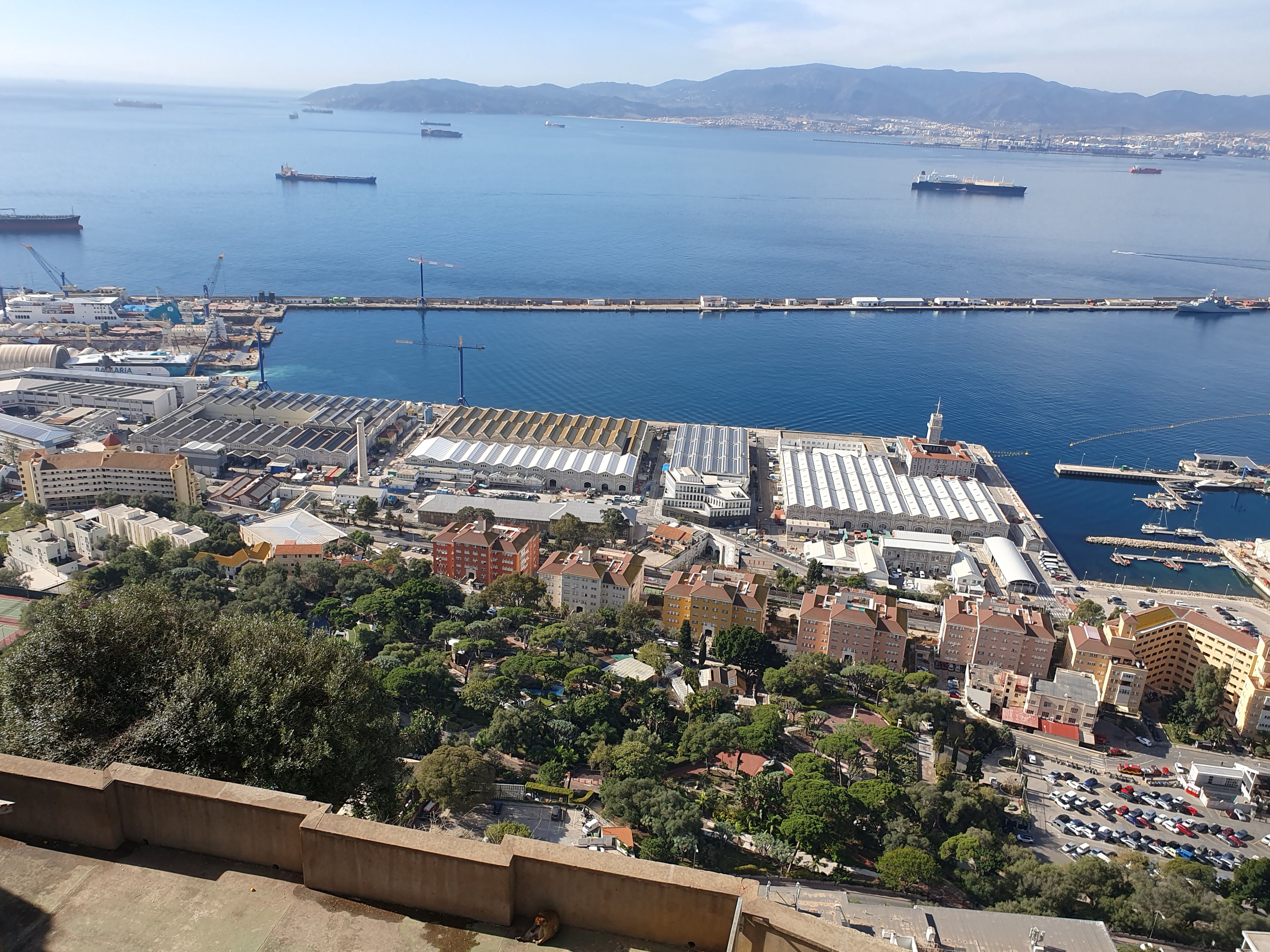 800.jpg (327117 bytes)