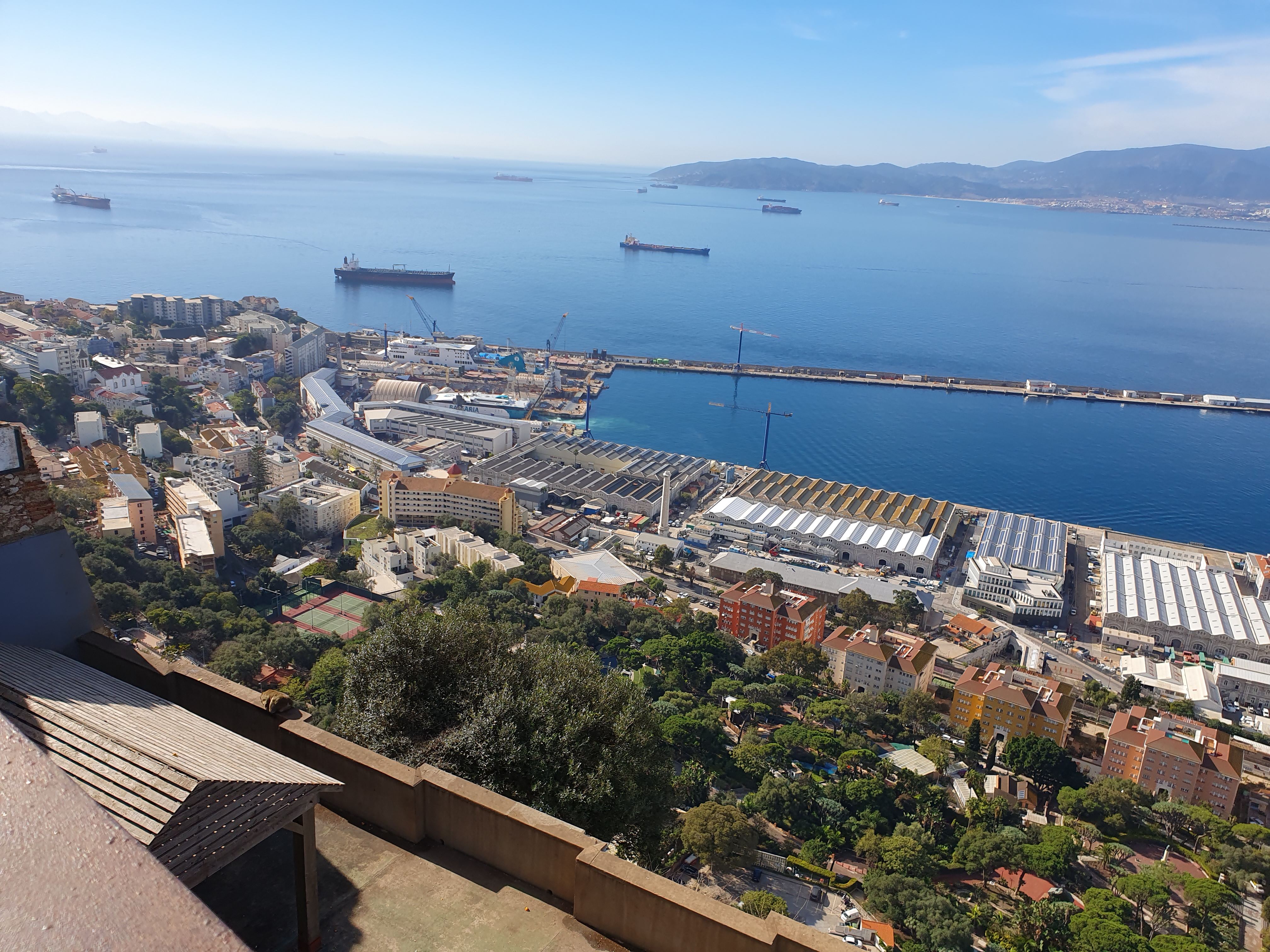 810.jpg (327117 bytes)