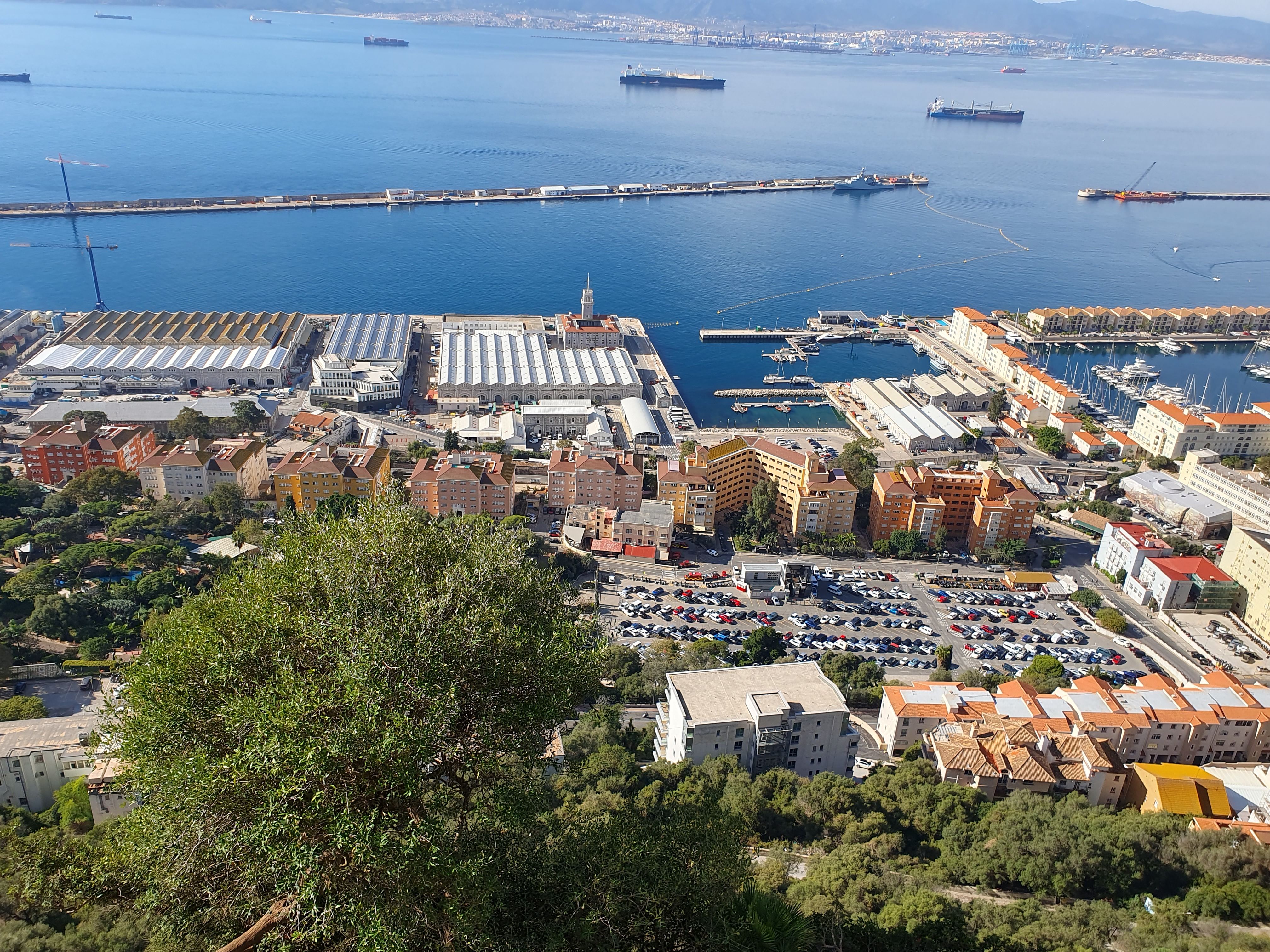 830.jpg (327117 bytes)