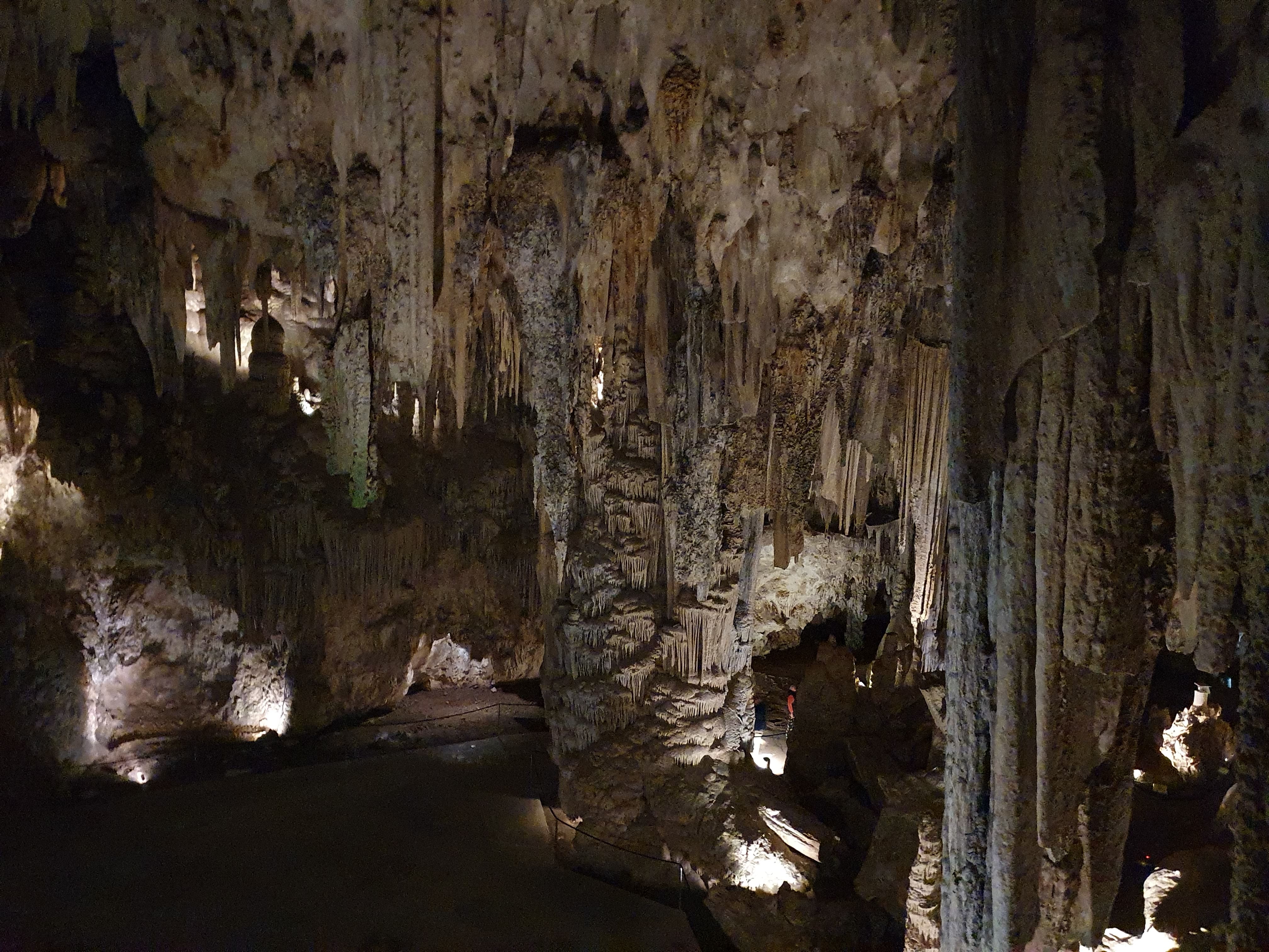 870.jpg (327117 bytes)