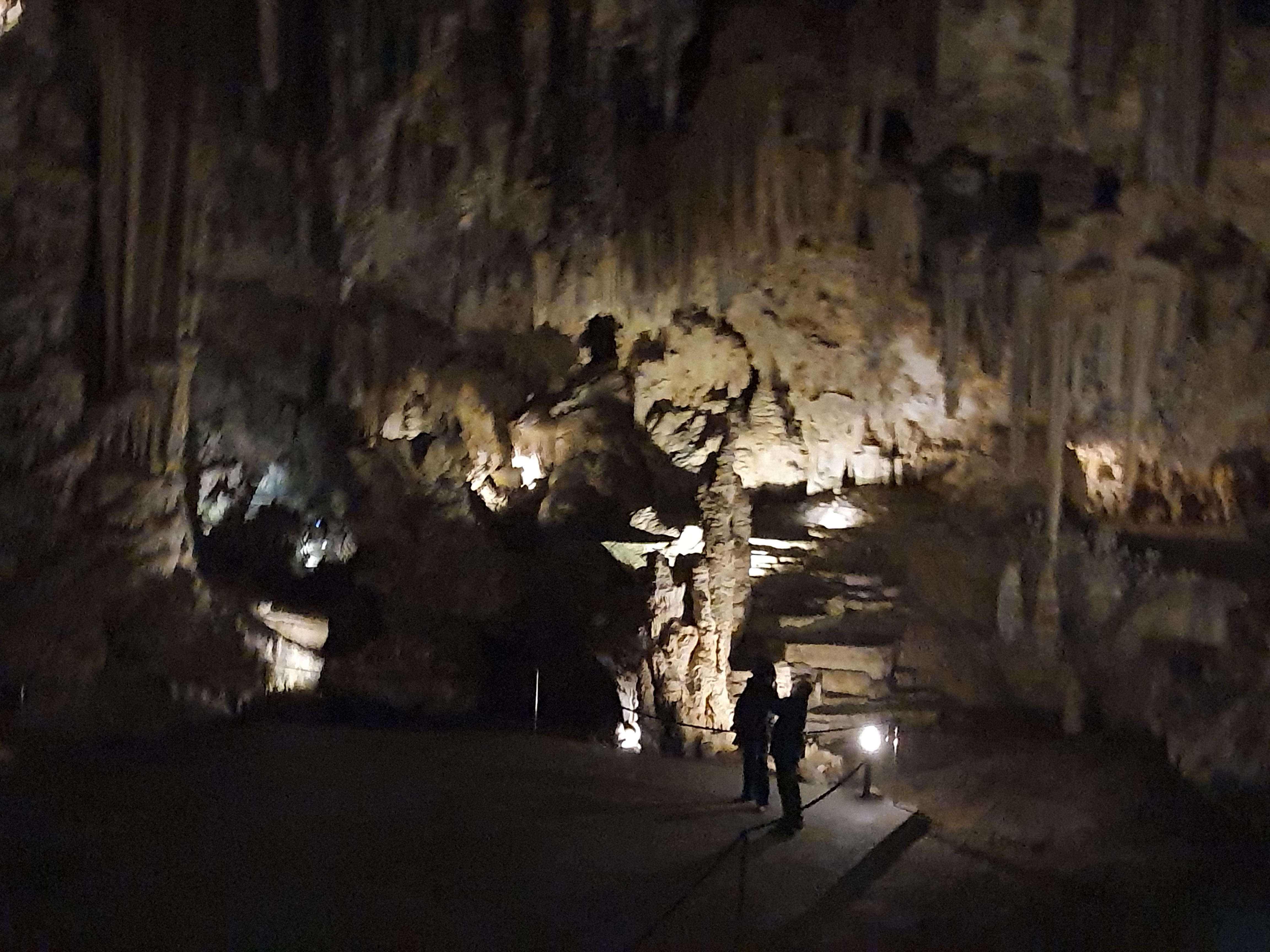 880.jpg (327117 bytes)