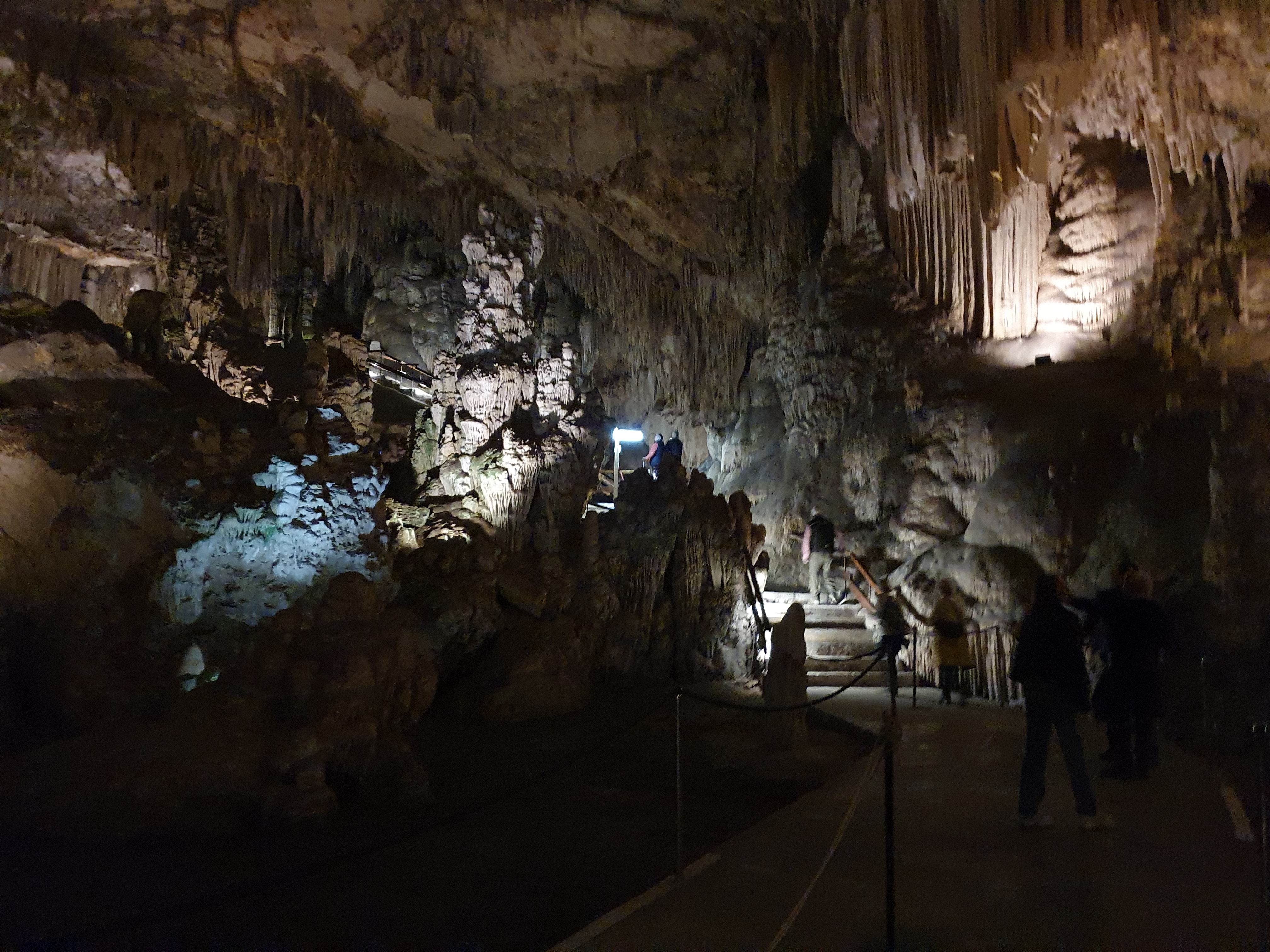 890.jpg (327117 bytes)