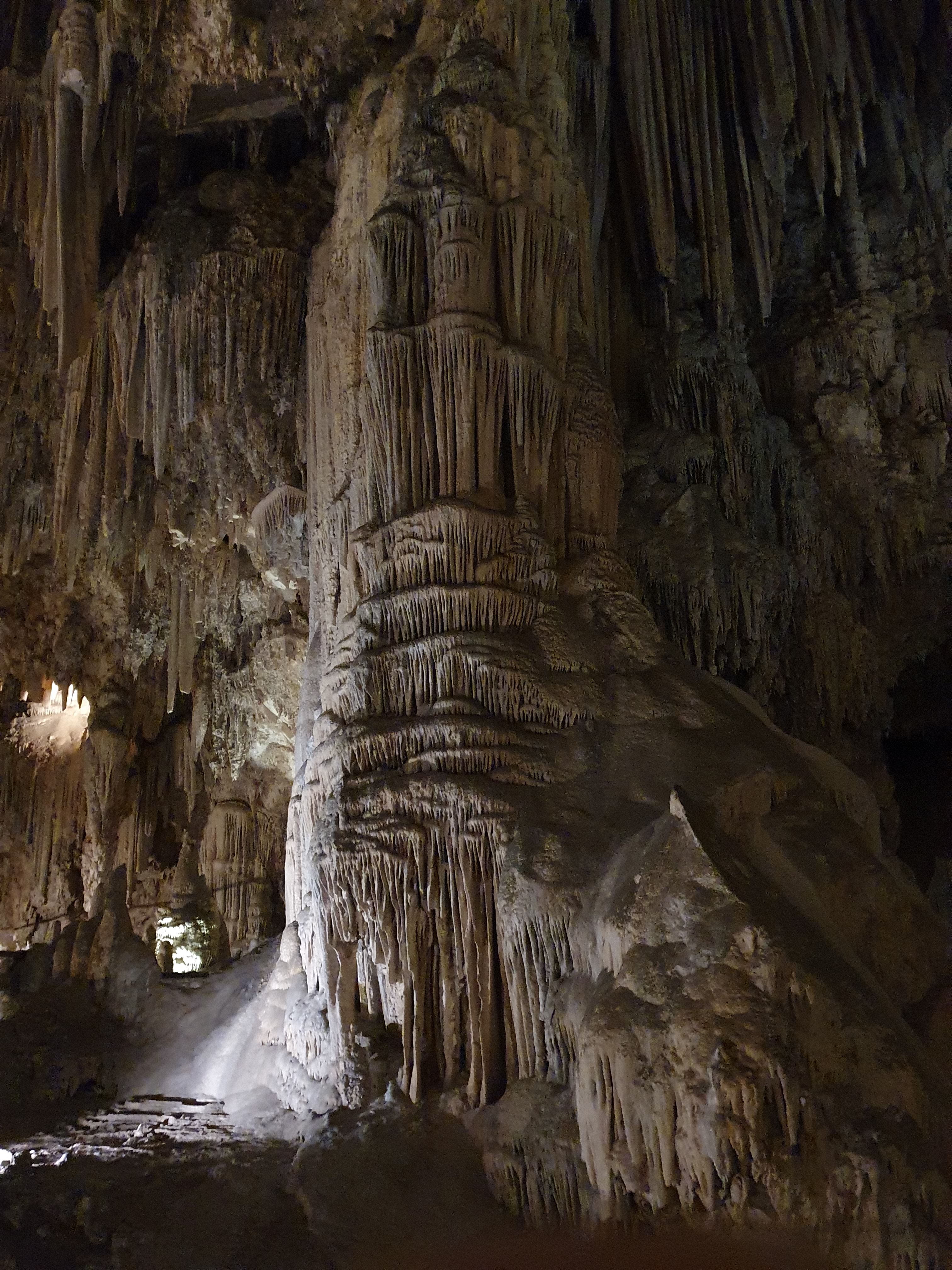 900.jpg (327117 bytes)