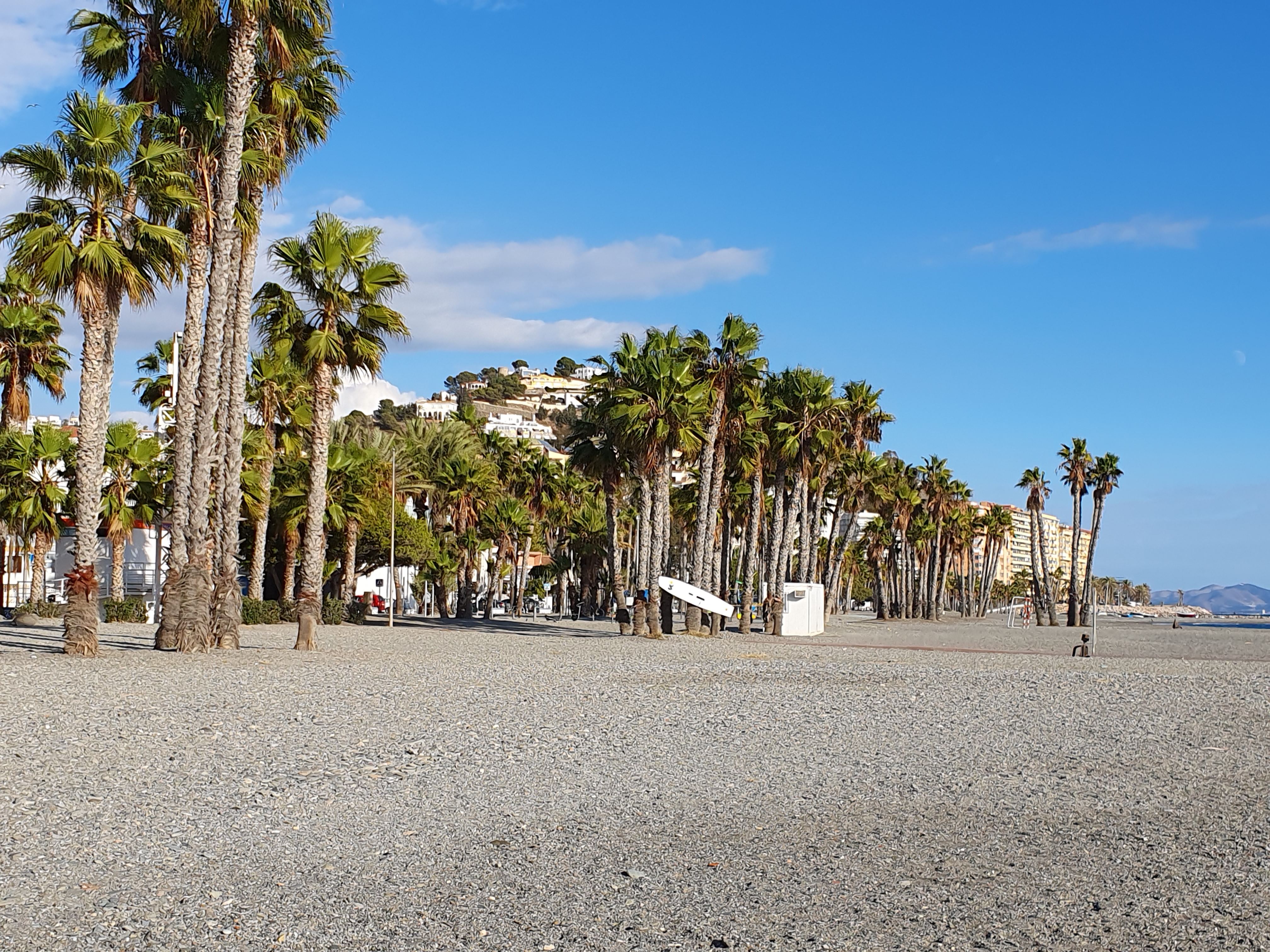 940.jpg (327117 bytes)