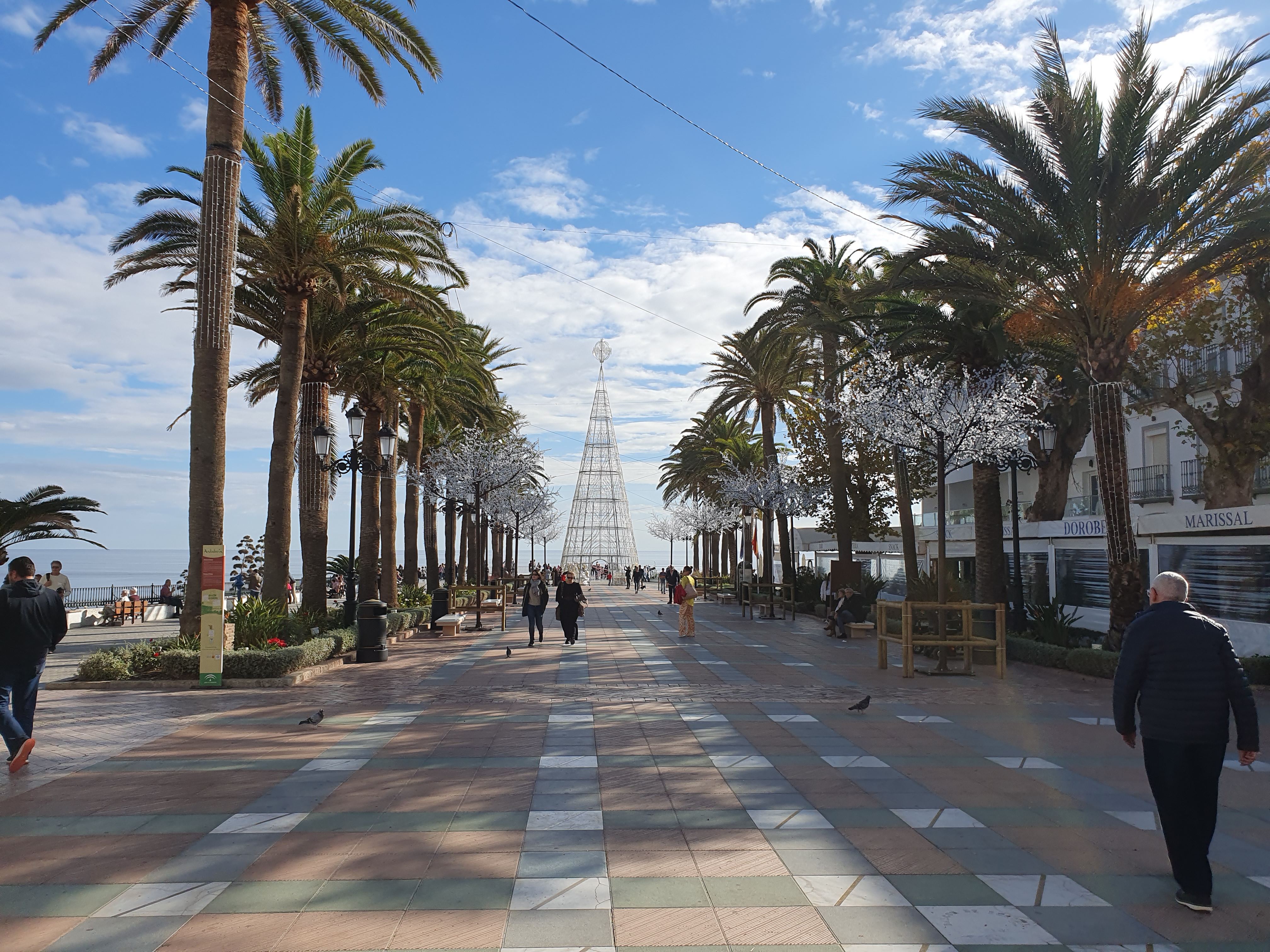 950.jpg (327117 bytes)