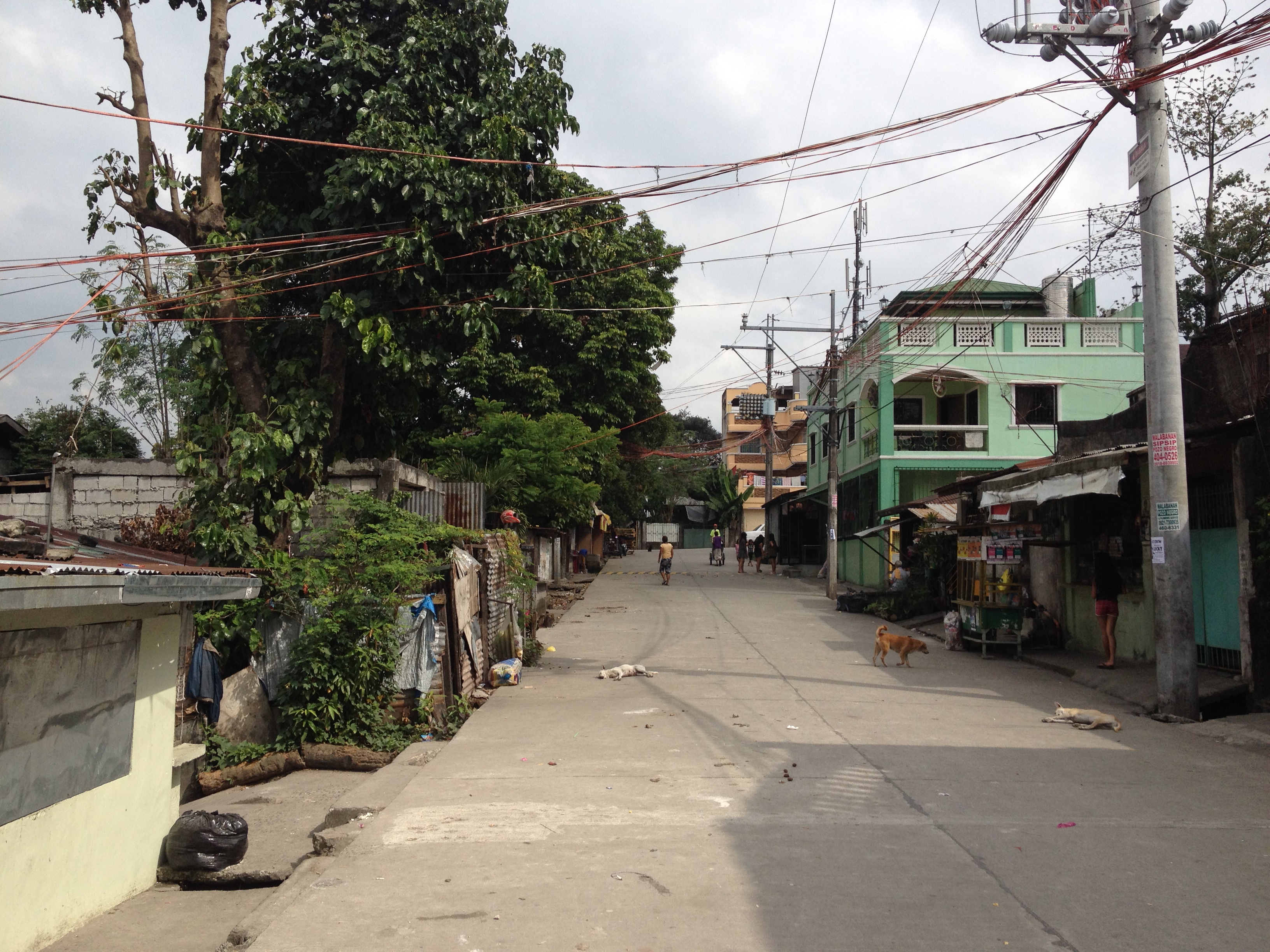 30.jpg (165335 bytes)