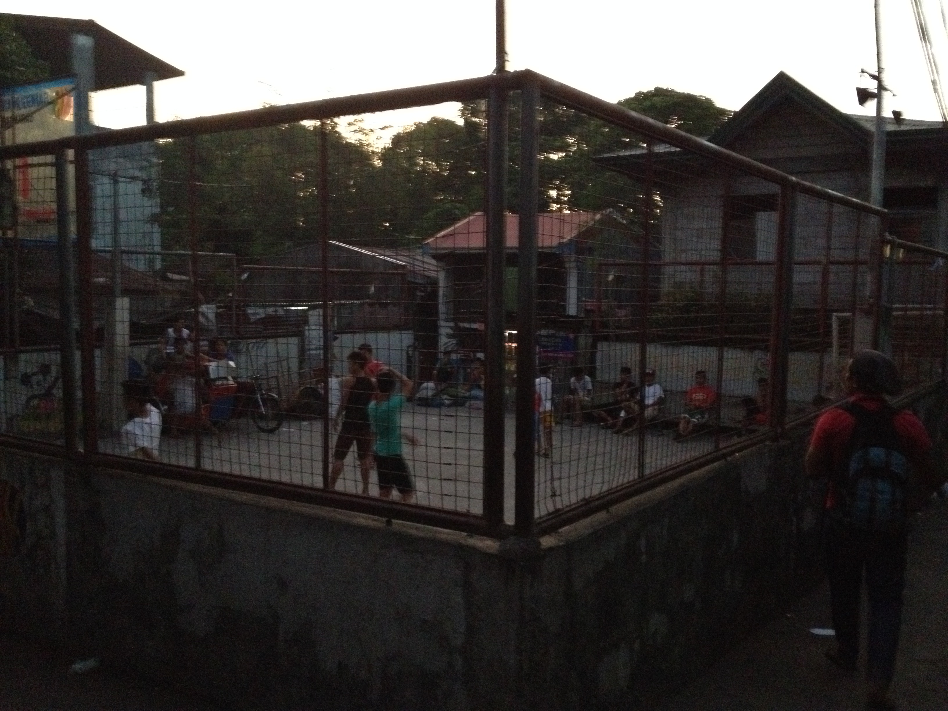 310.jpg (142052 bytes)