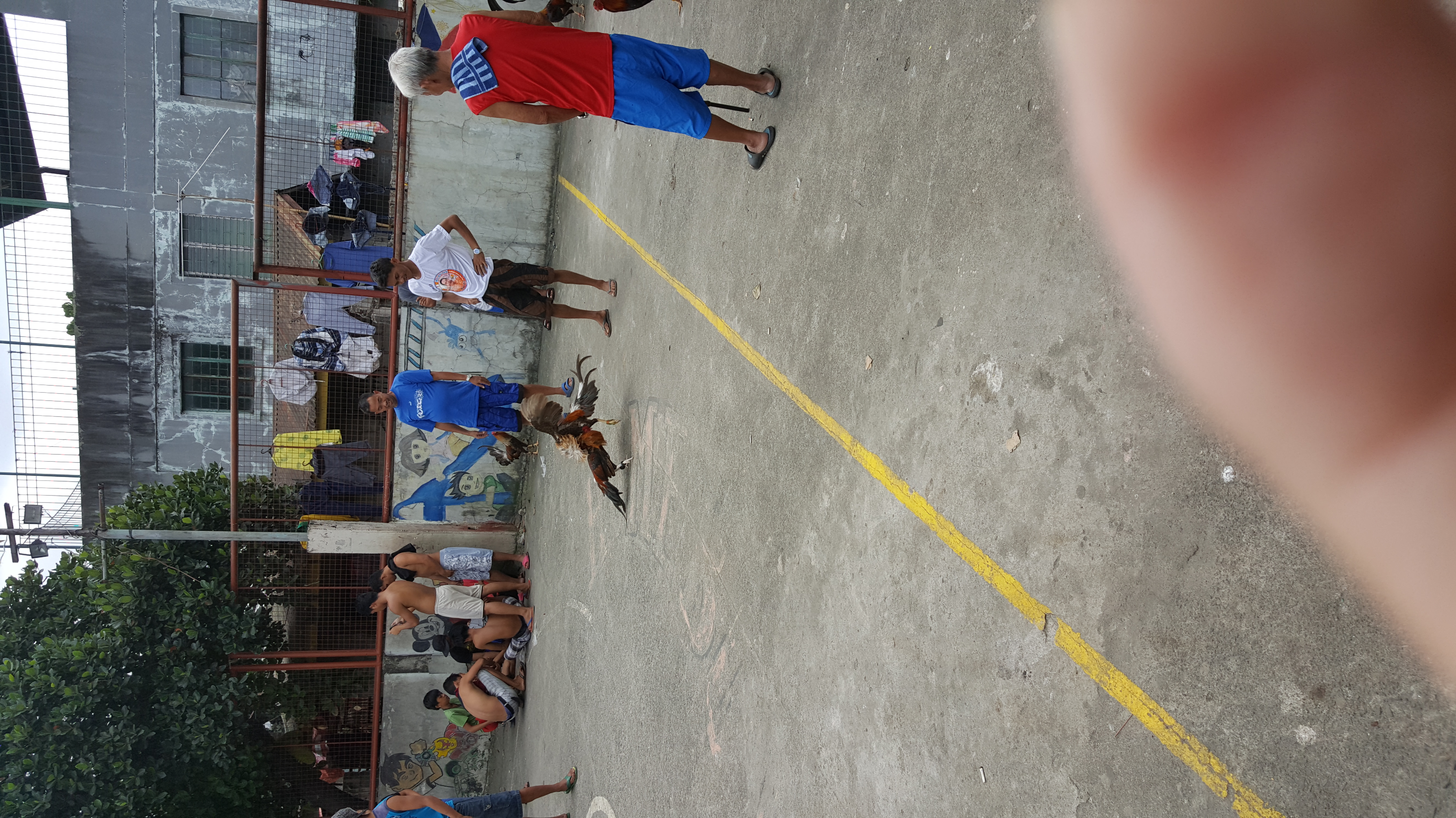 330.jpg (142052 bytes)