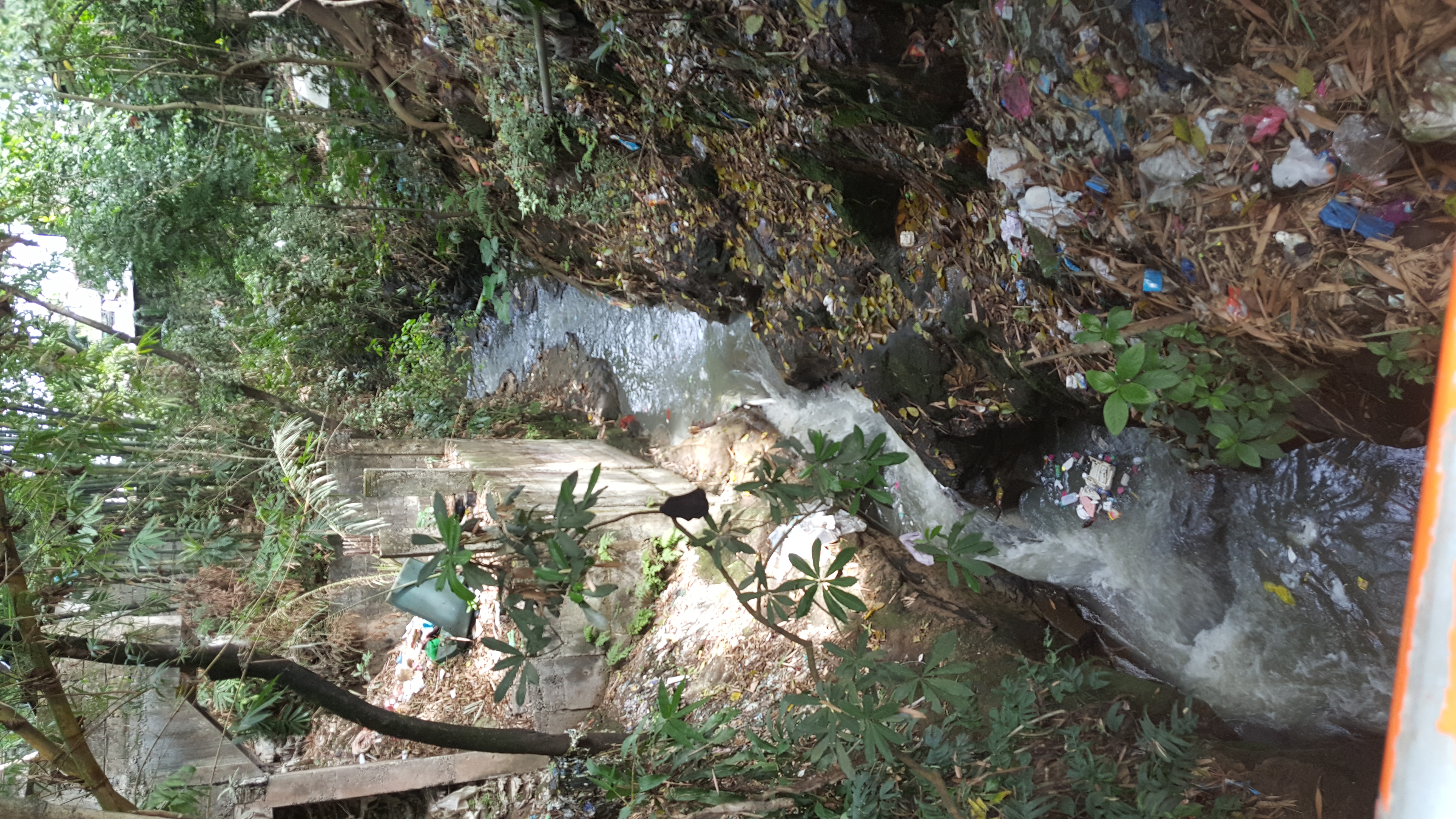 350.jpg (142052 bytes)