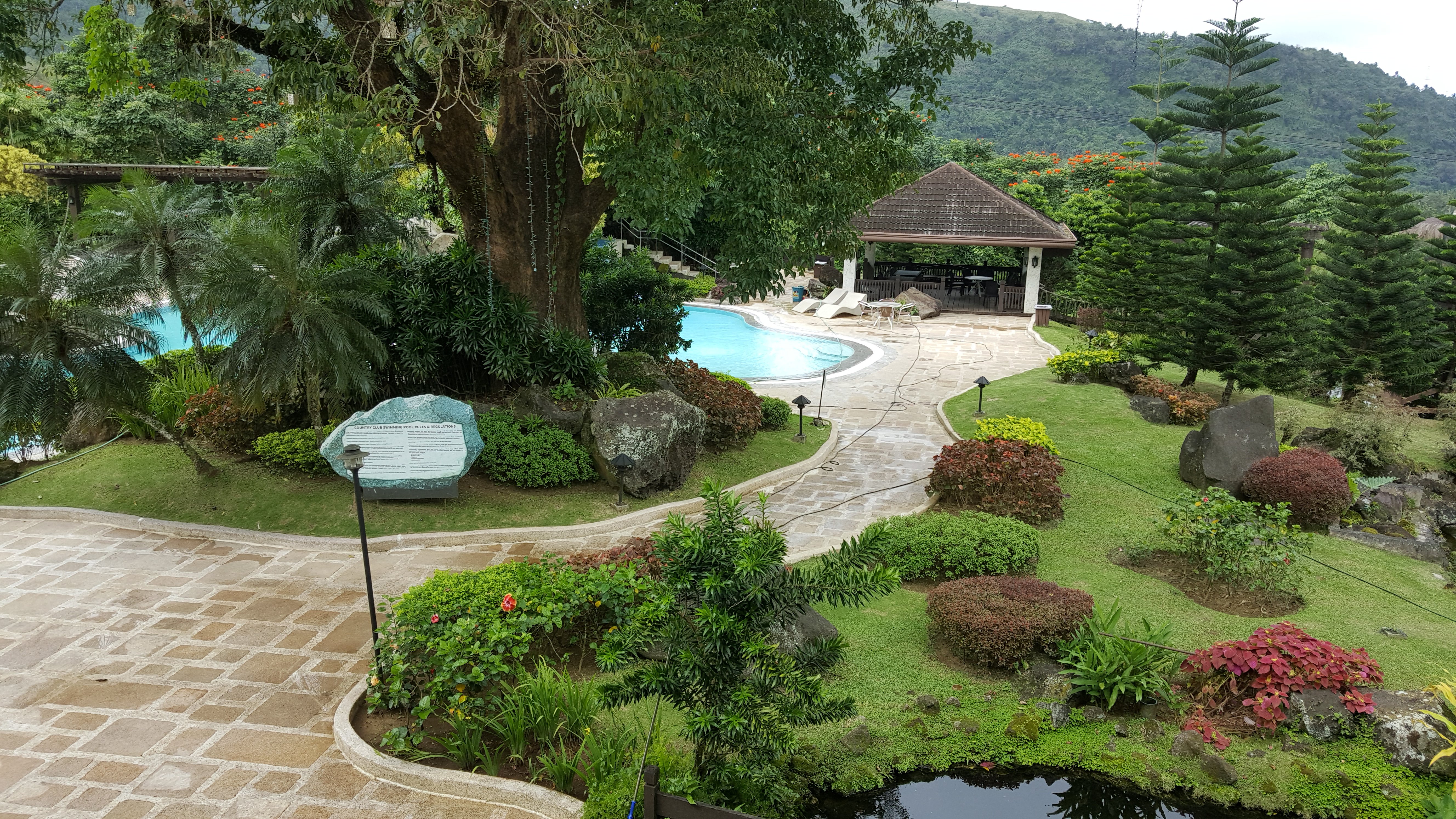 140.jpg (142052 bytes)